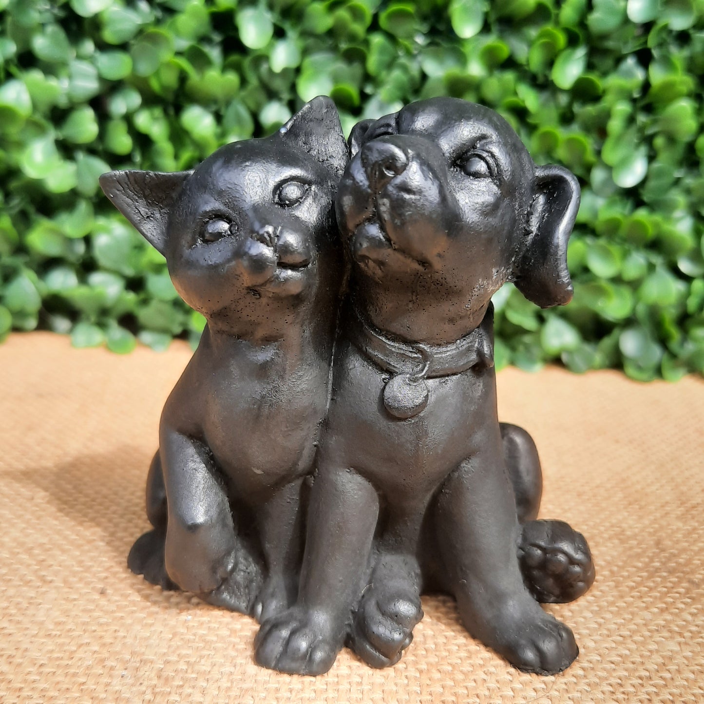 Shungite Puppy & Kitten