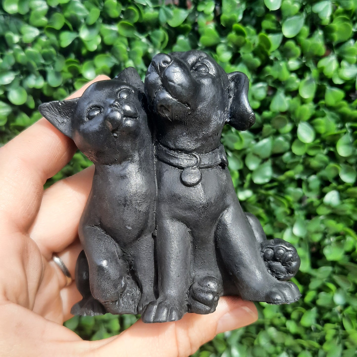 Shungite Puppy & Kitten