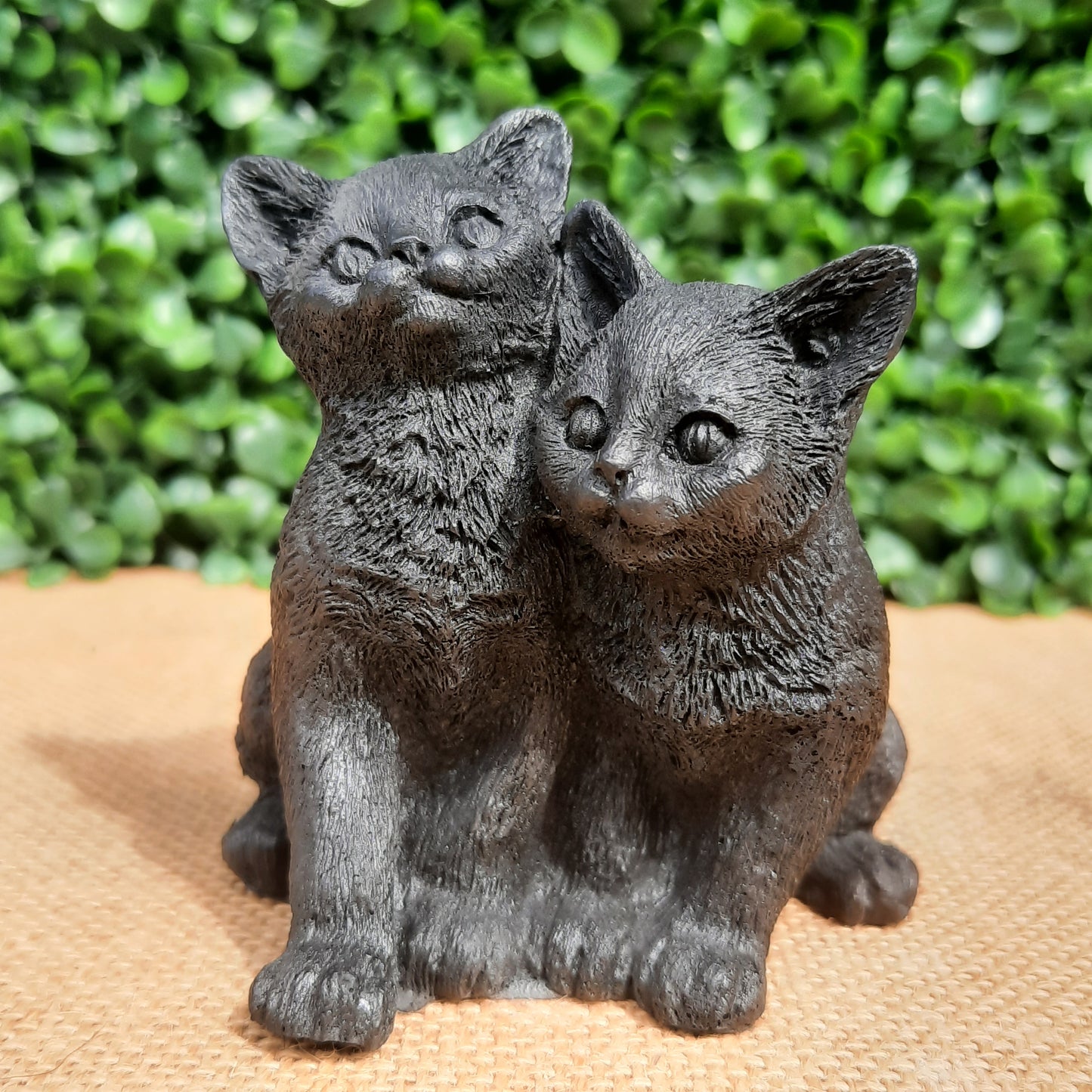Shungite Kittens