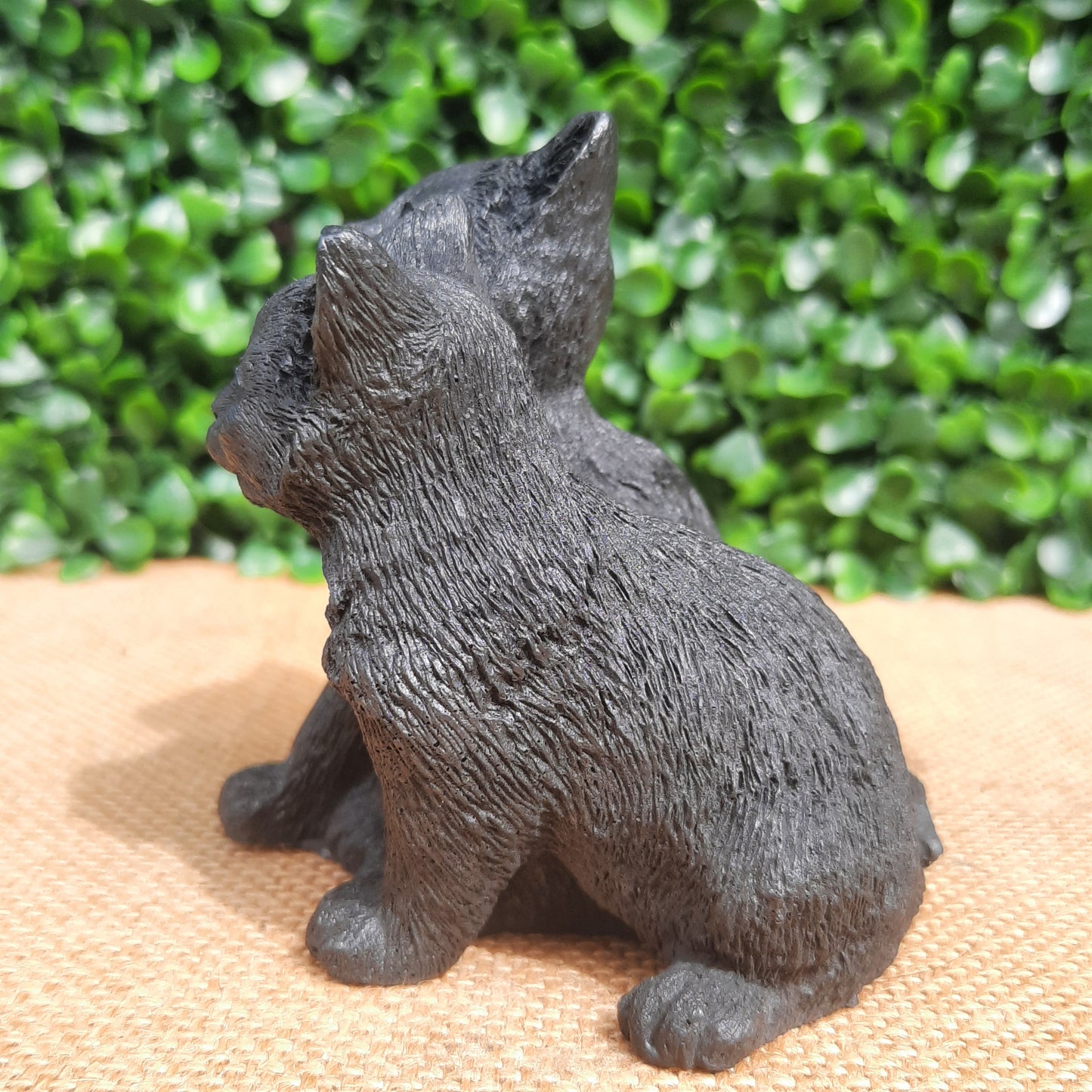 Shungite Kittens
