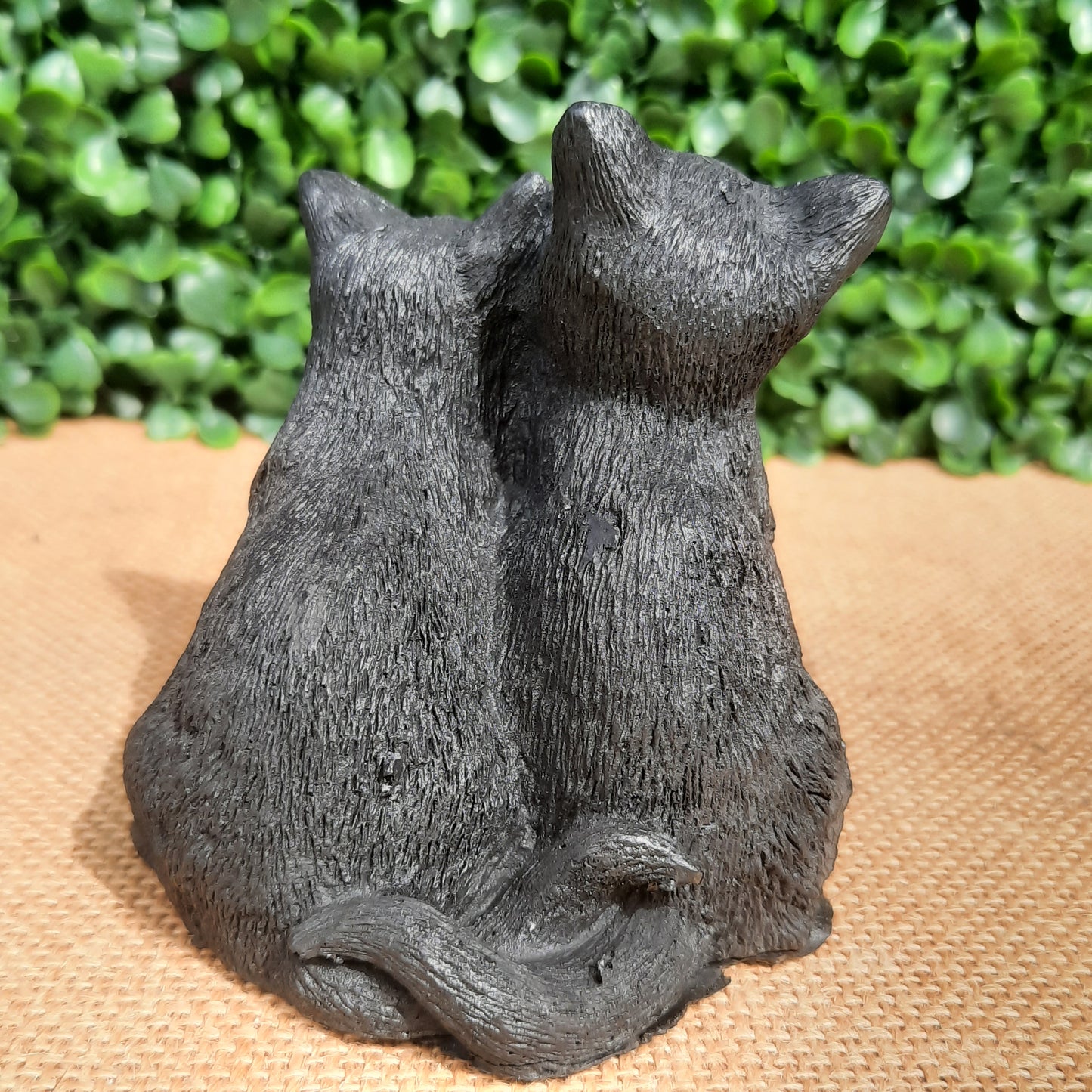 Shungite Kittens