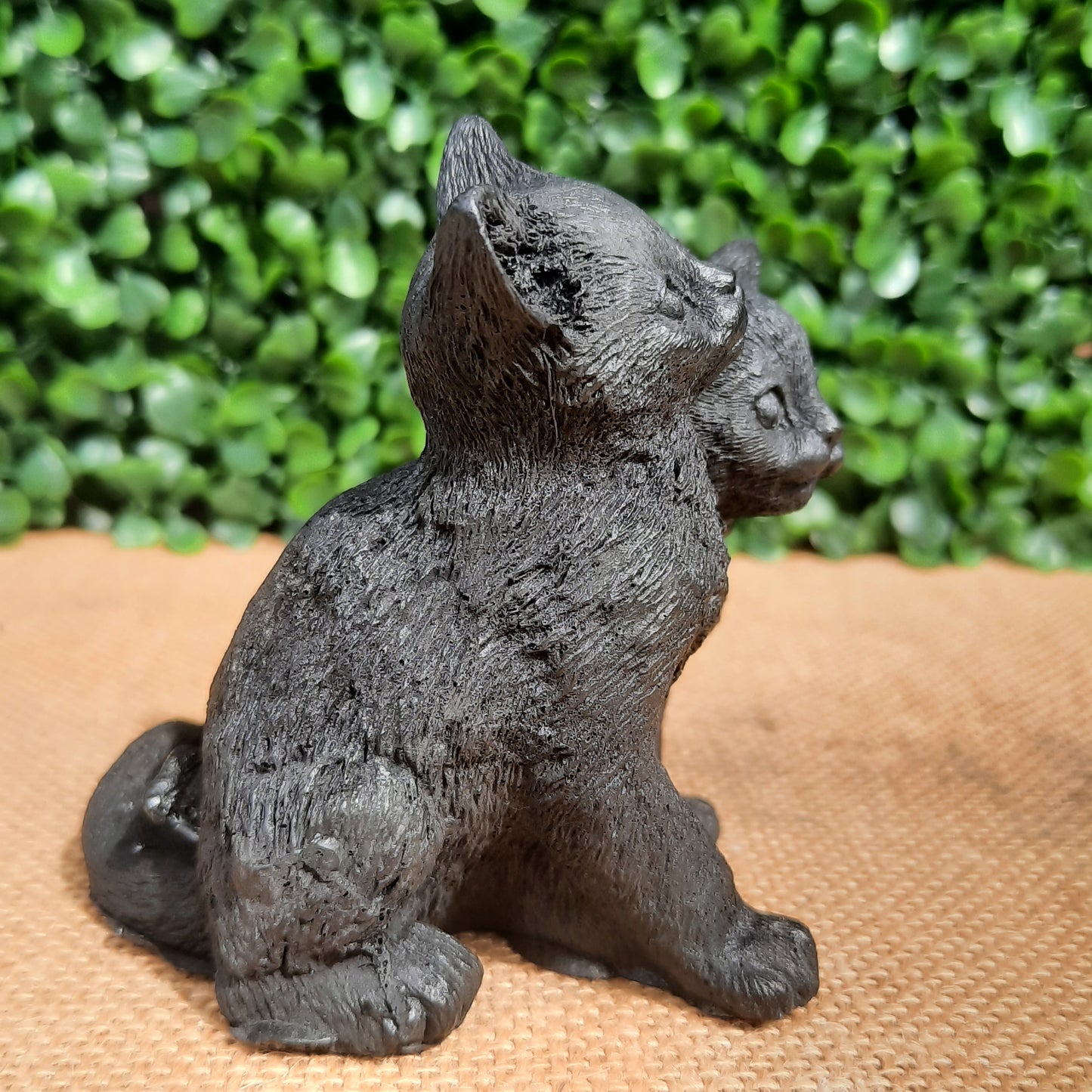 Shungite Kittens