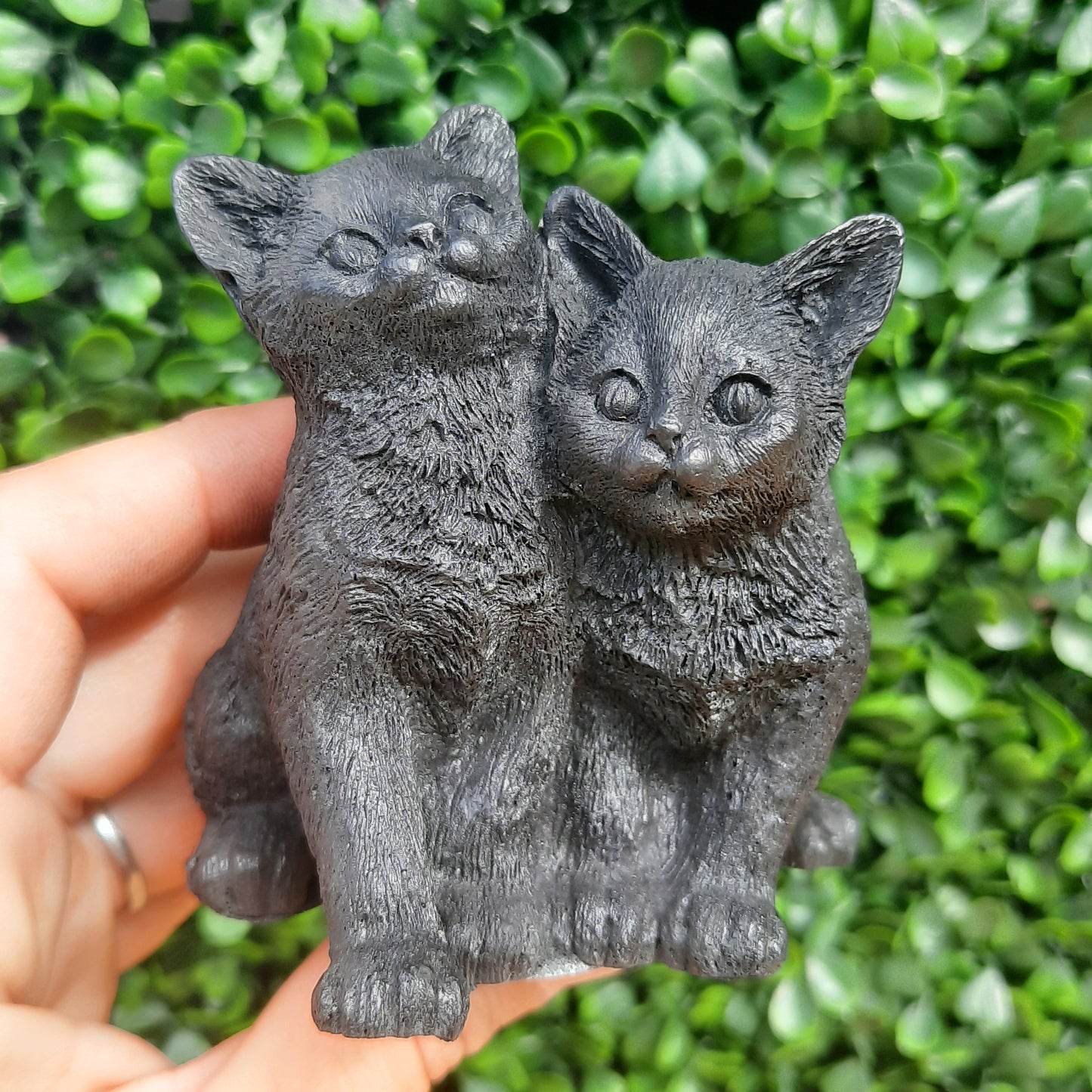 Shungite Kittens