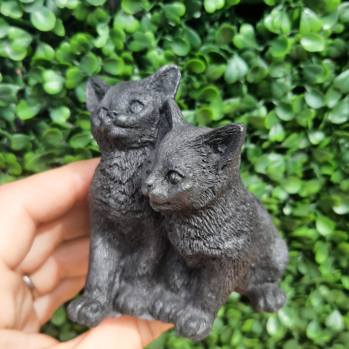Shungite Kittens