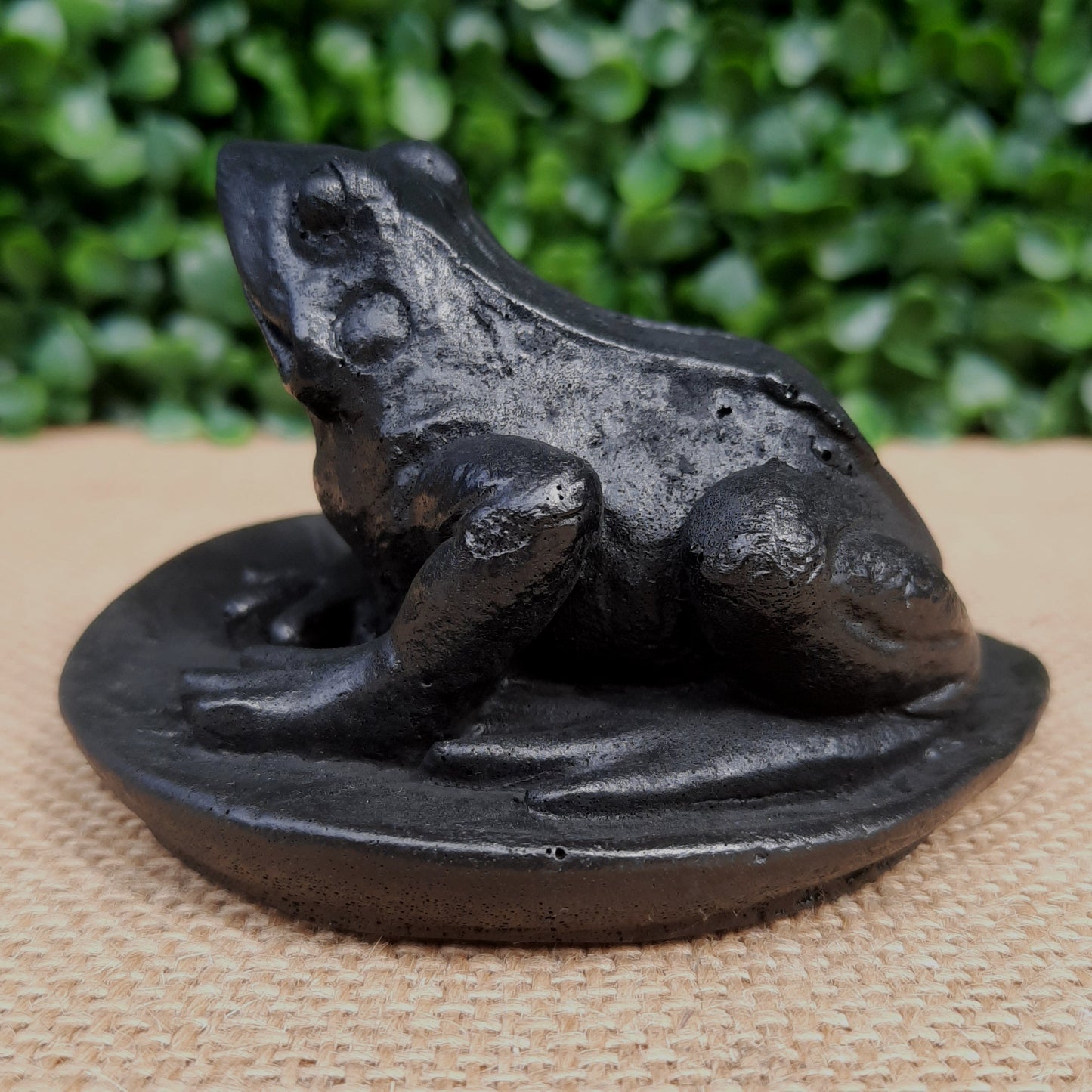 Shungite Frog On Leaf