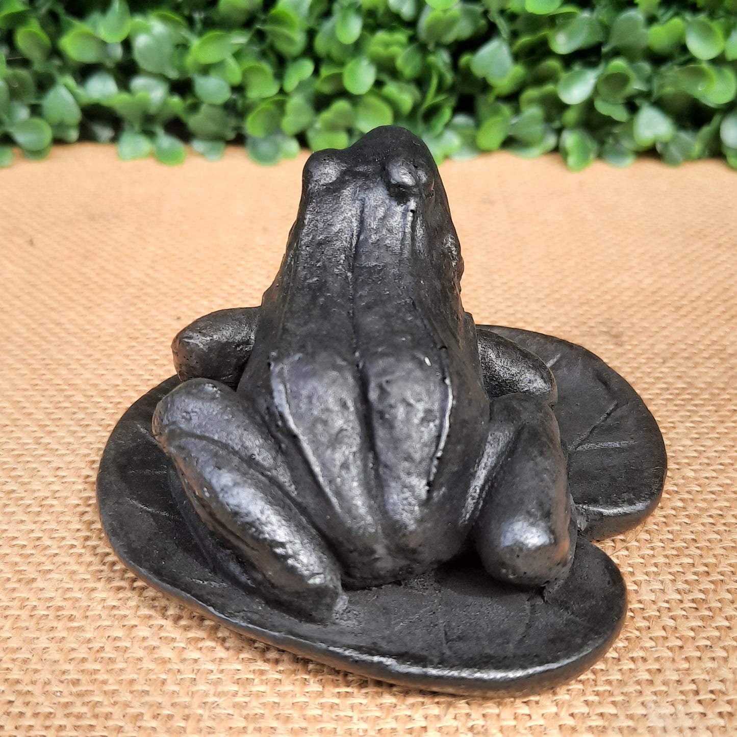 Shungite Frog On Leaf