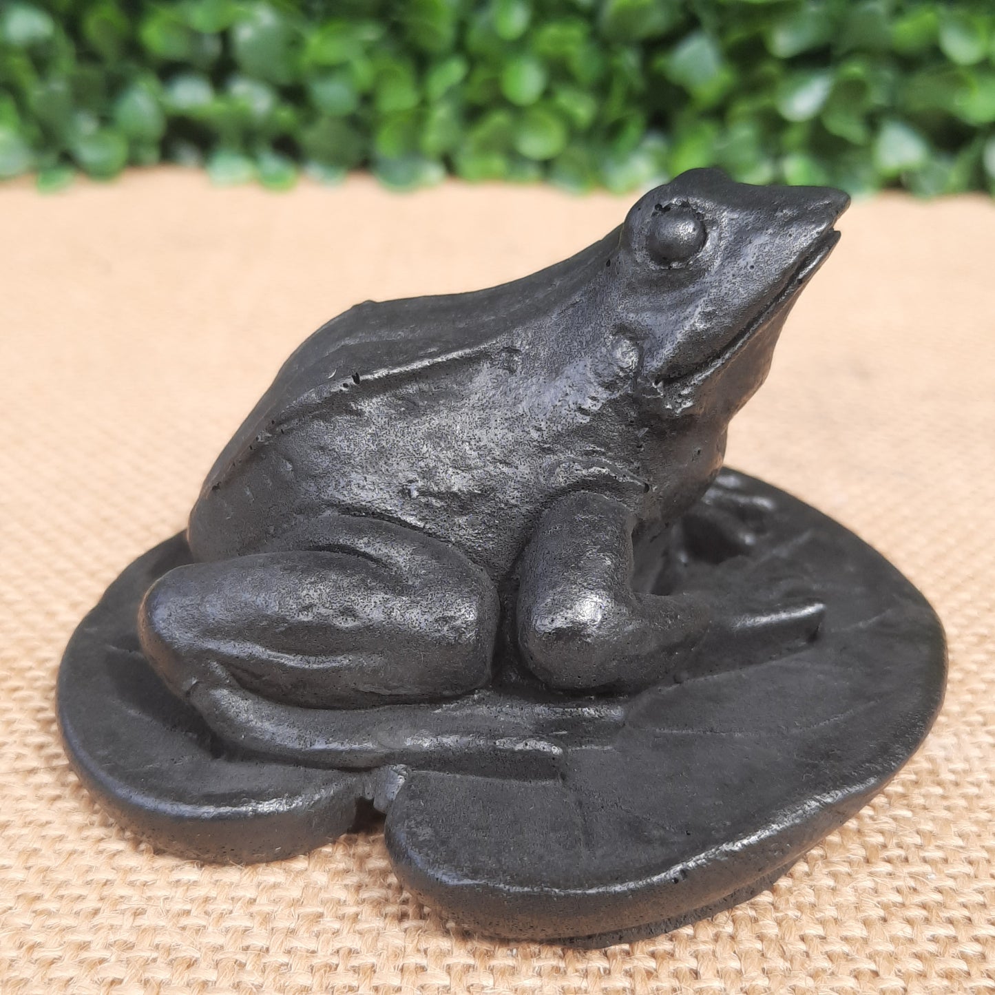 Shungite Frog On Leaf