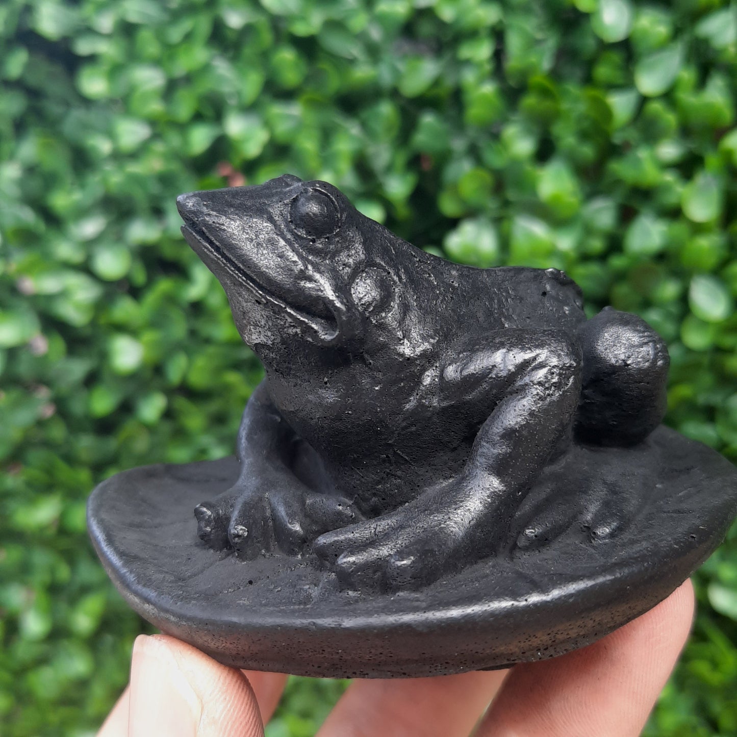 Shungite Frog On Leaf