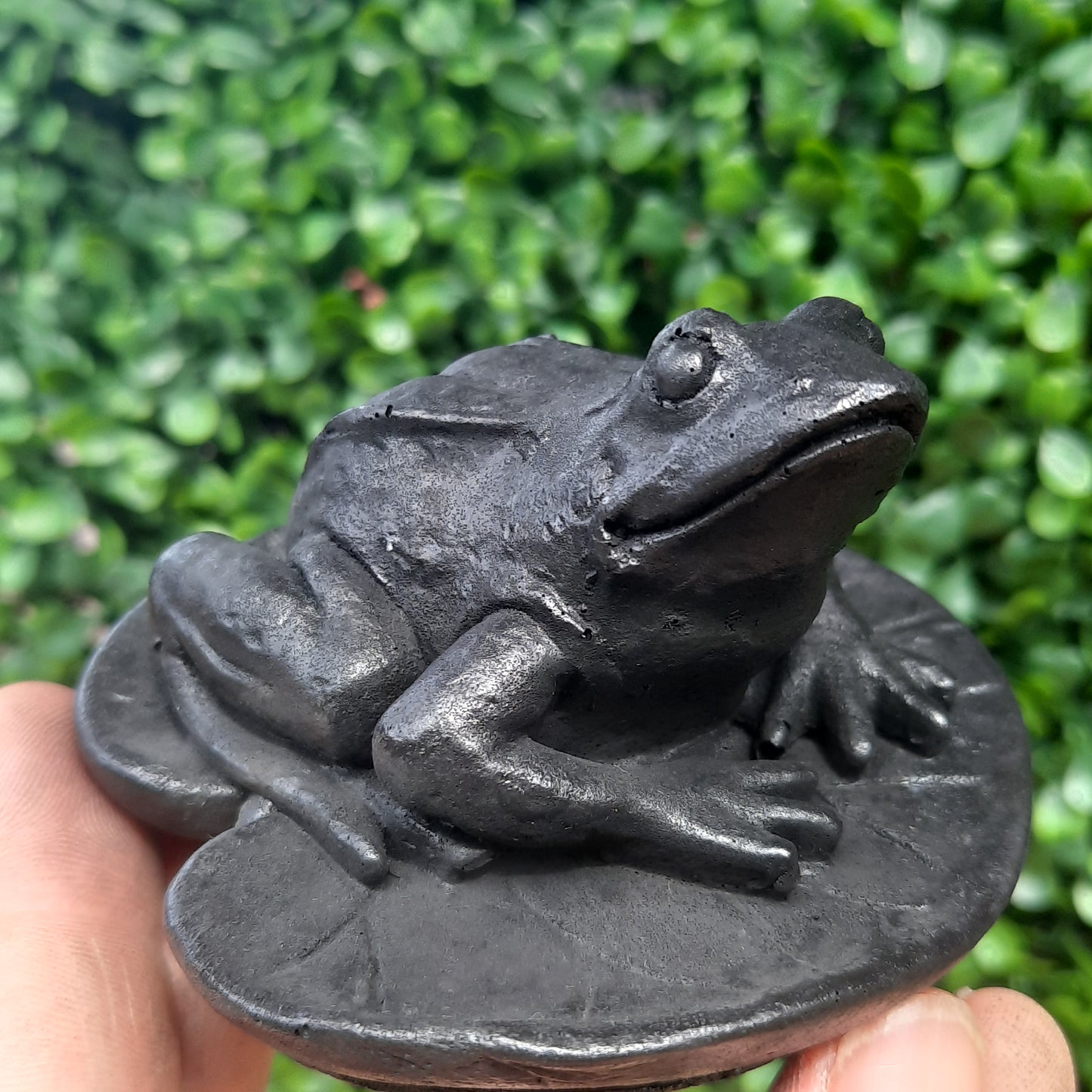 Shungite Frog On Leaf
