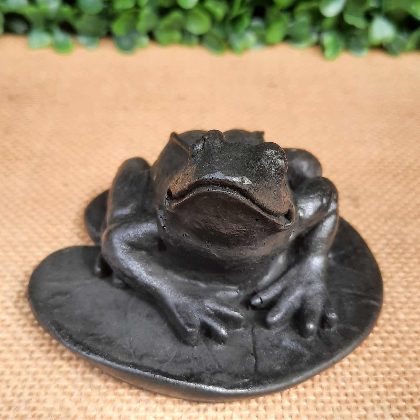 Shungite Frog On Leaf