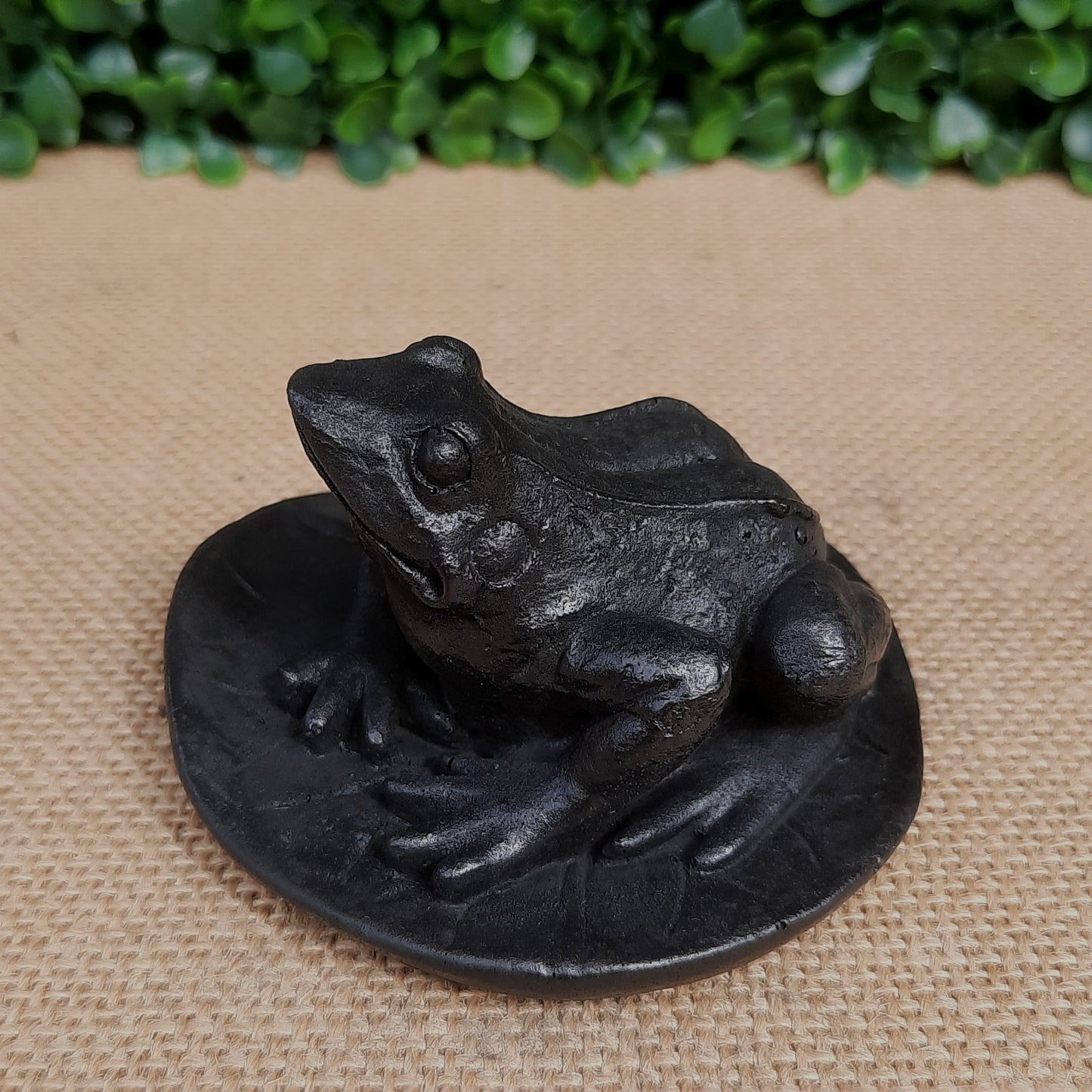 Shungite Frog On Leaf