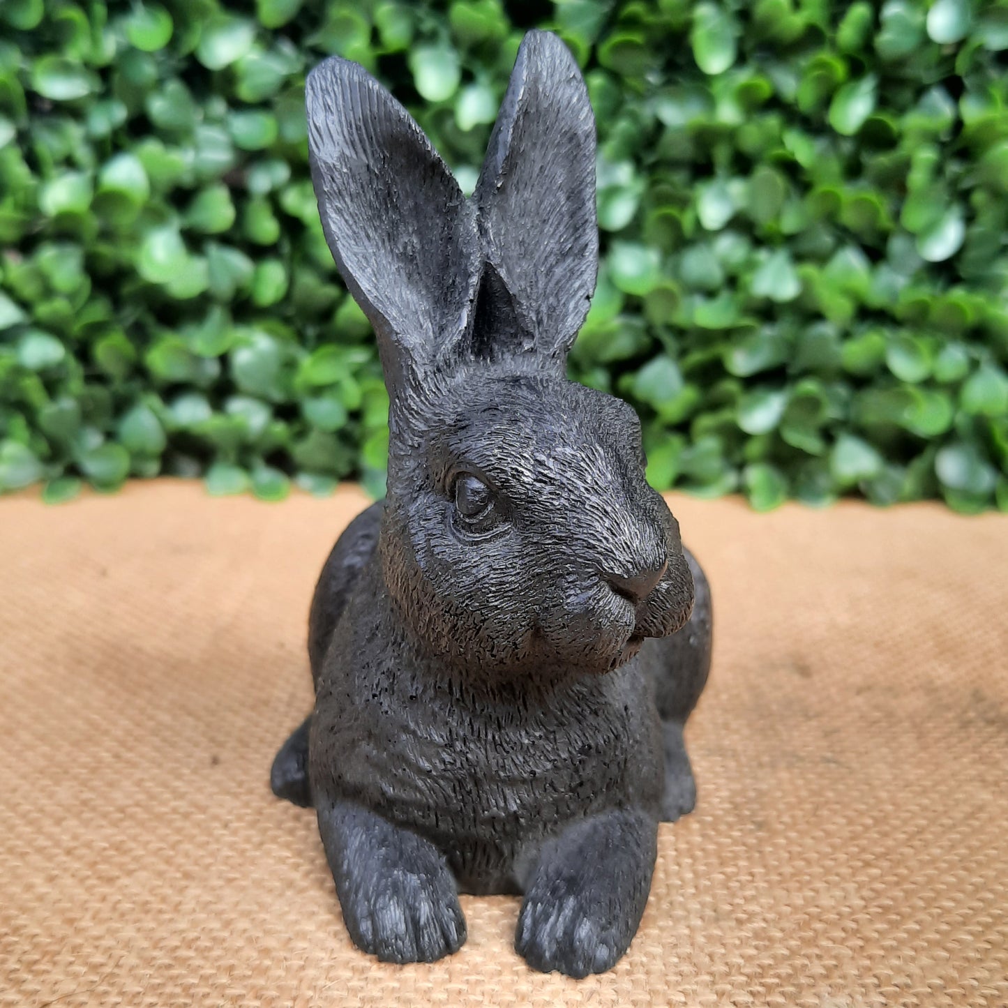 Shungite Bunny