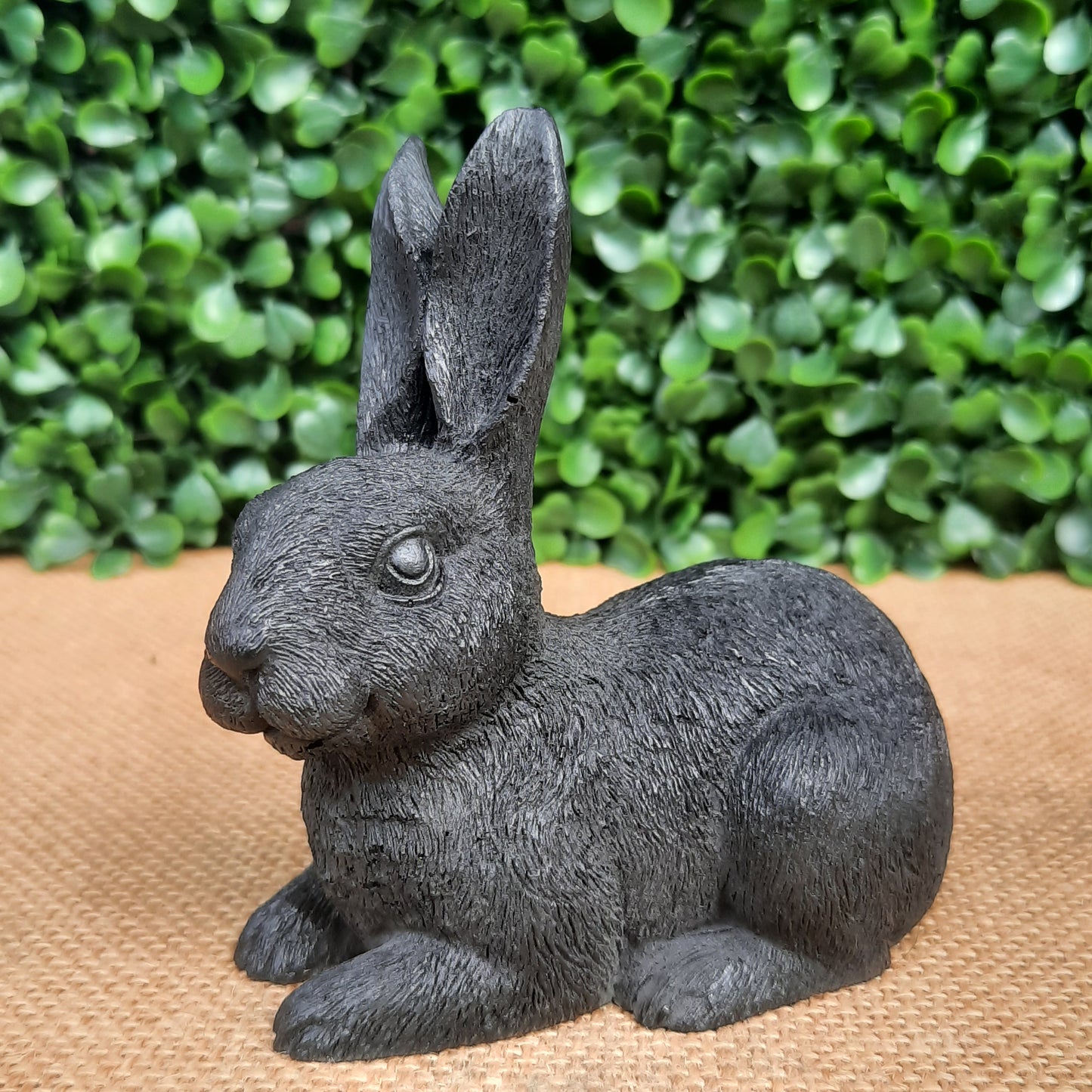 Shungite Bunny