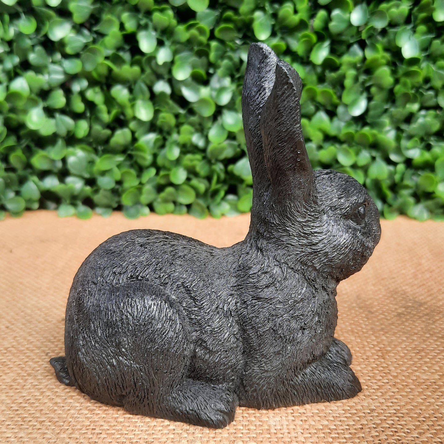 Shungite Bunny