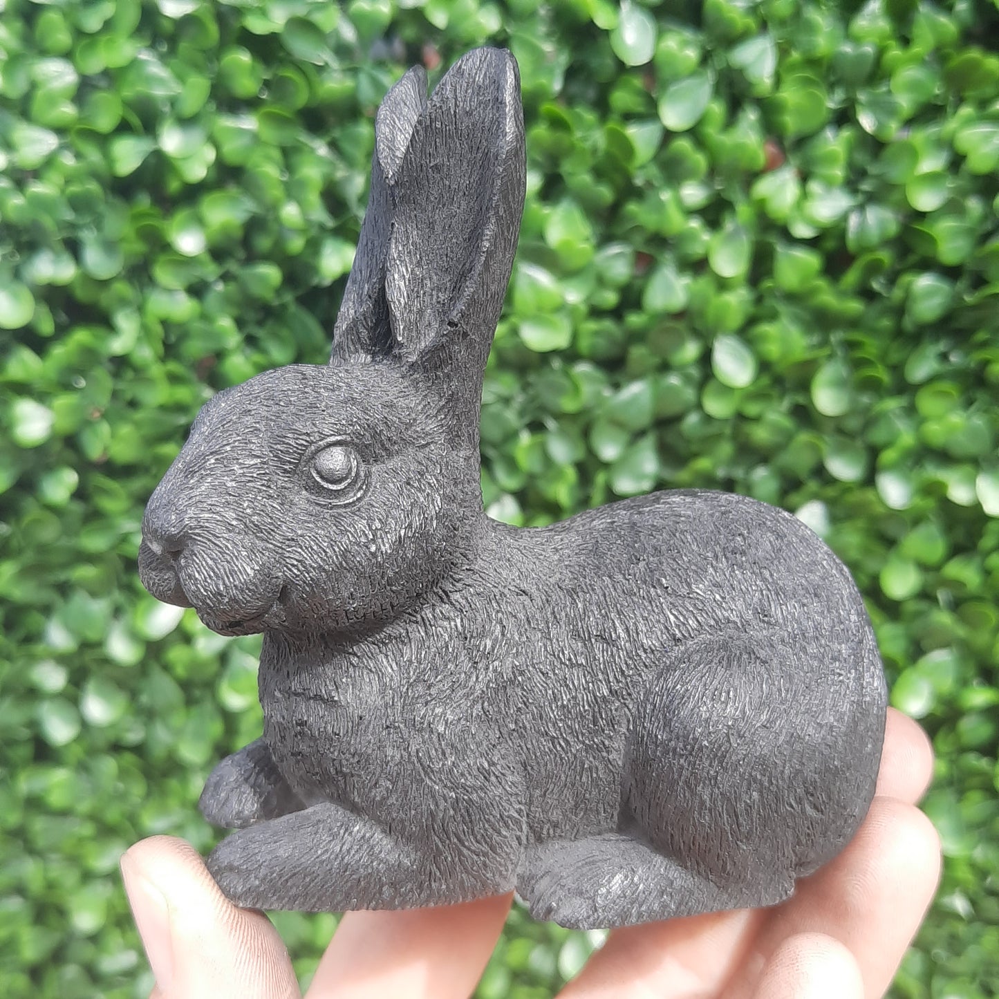 Shungite Bunny