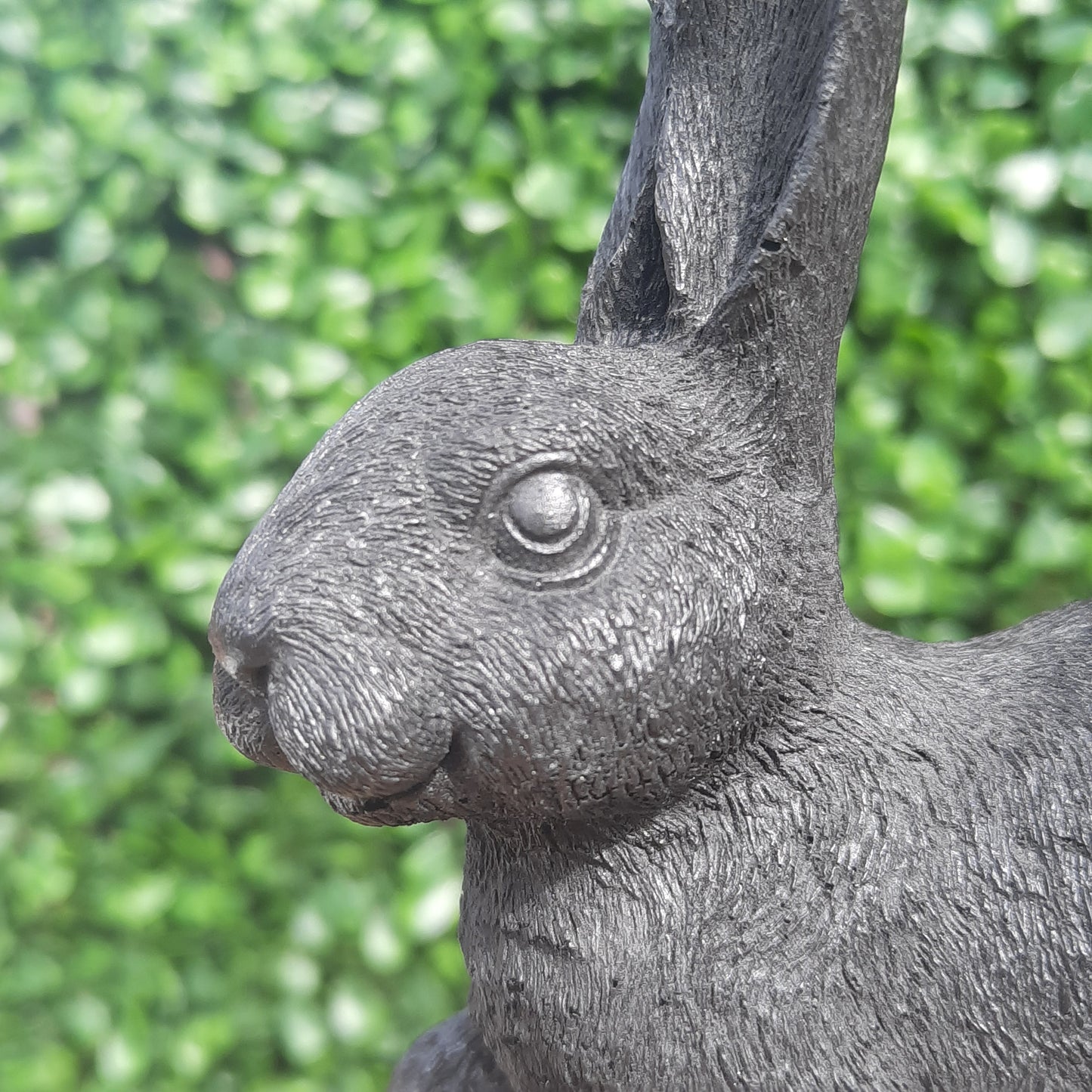Shungite Bunny