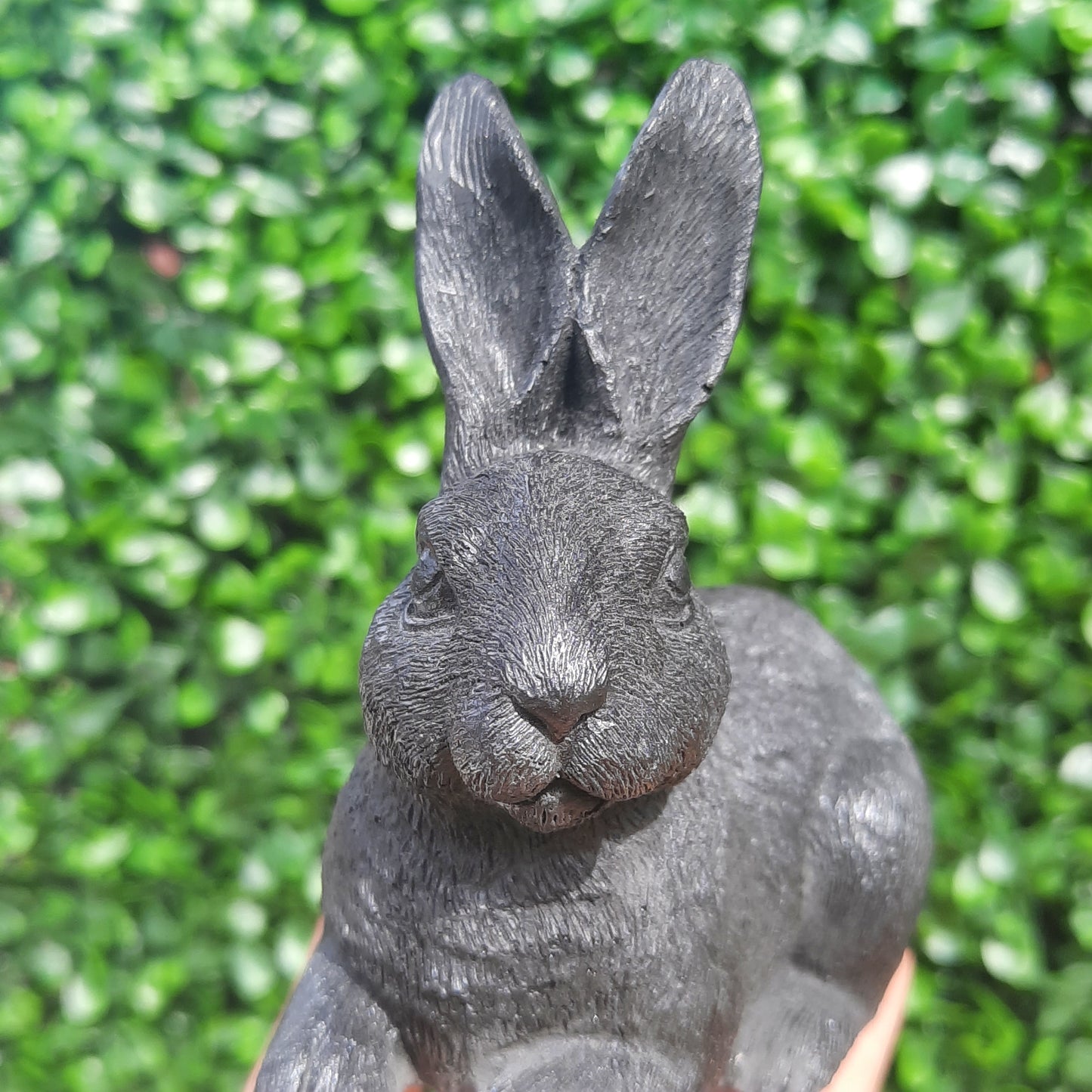 Shungite Bunny