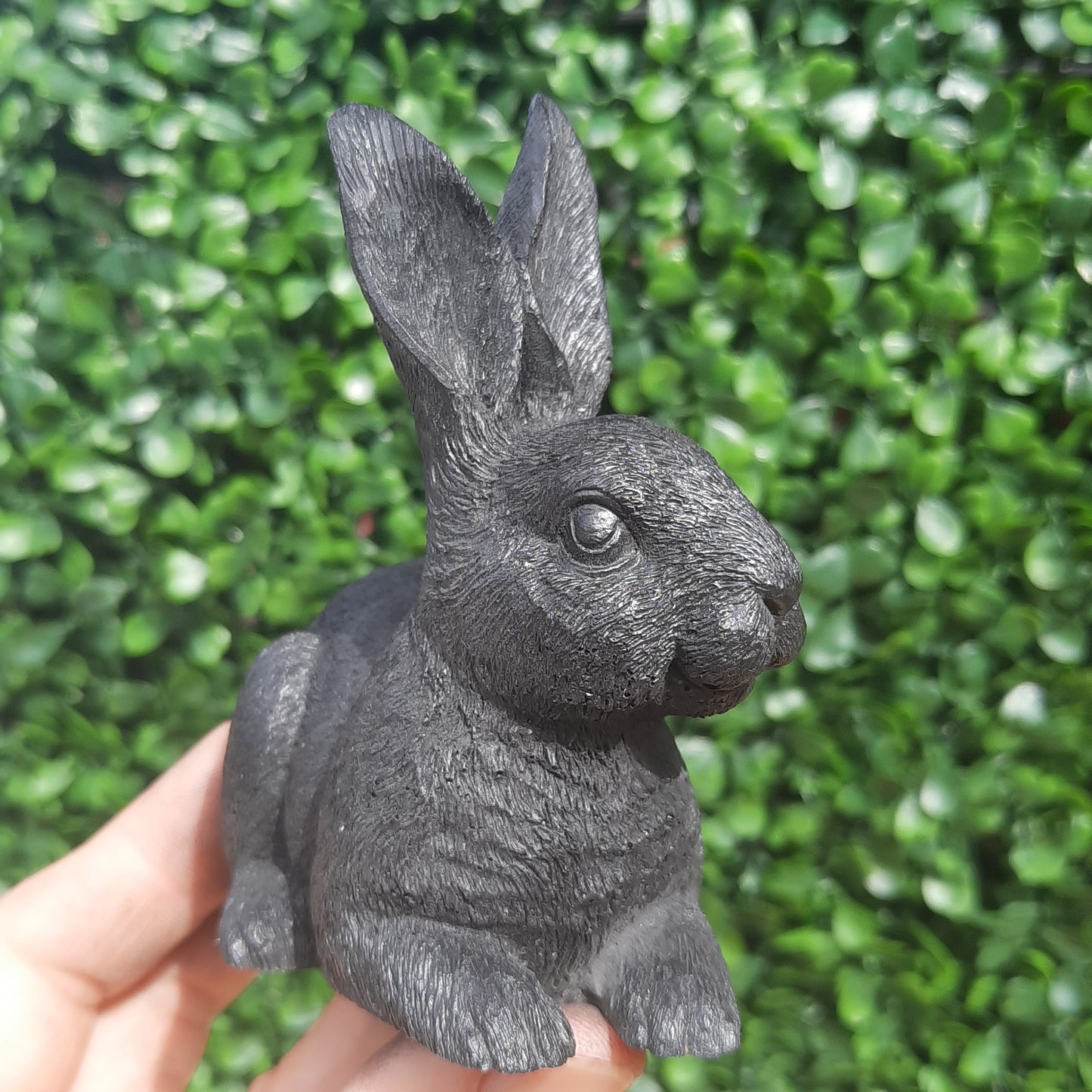 Shungite Bunny