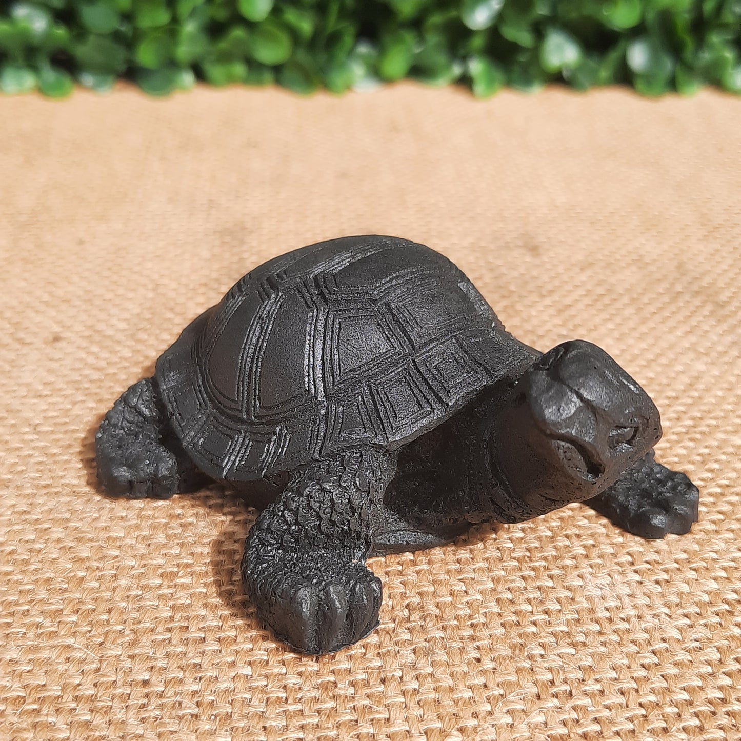 Shungite Turtle