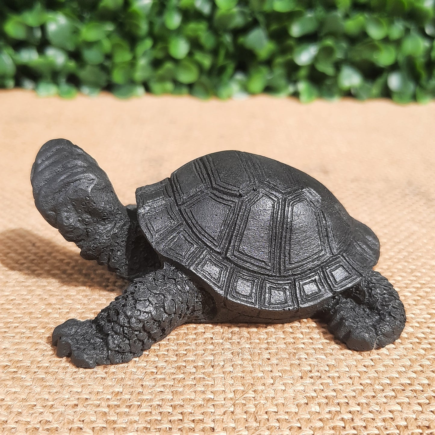 Shungite Turtle