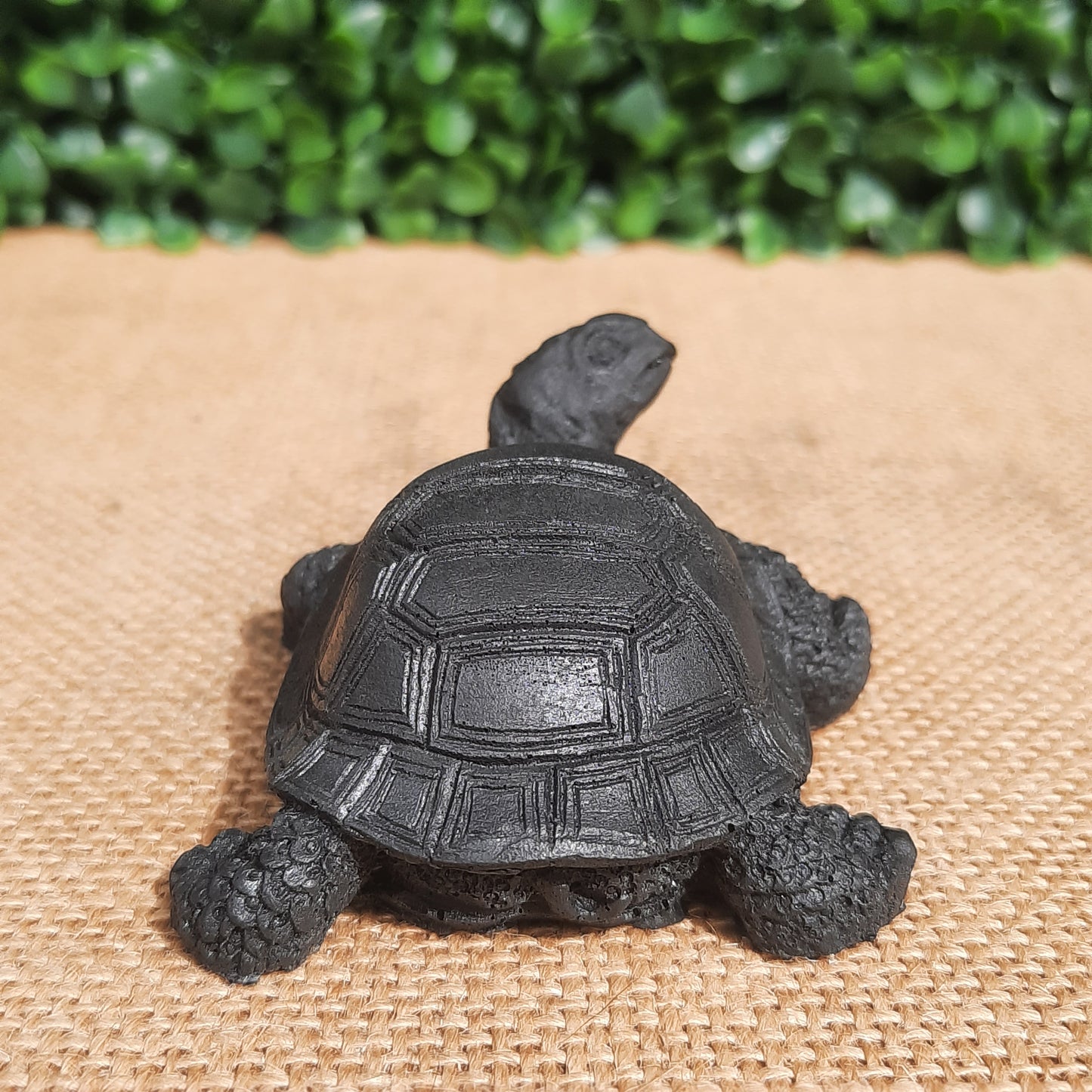 Shungite Turtle