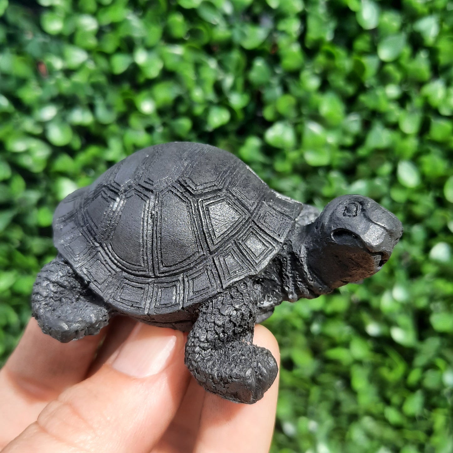 Shungite Turtle