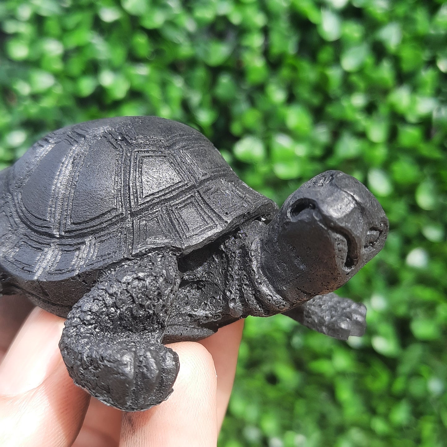 Shungite Turtle