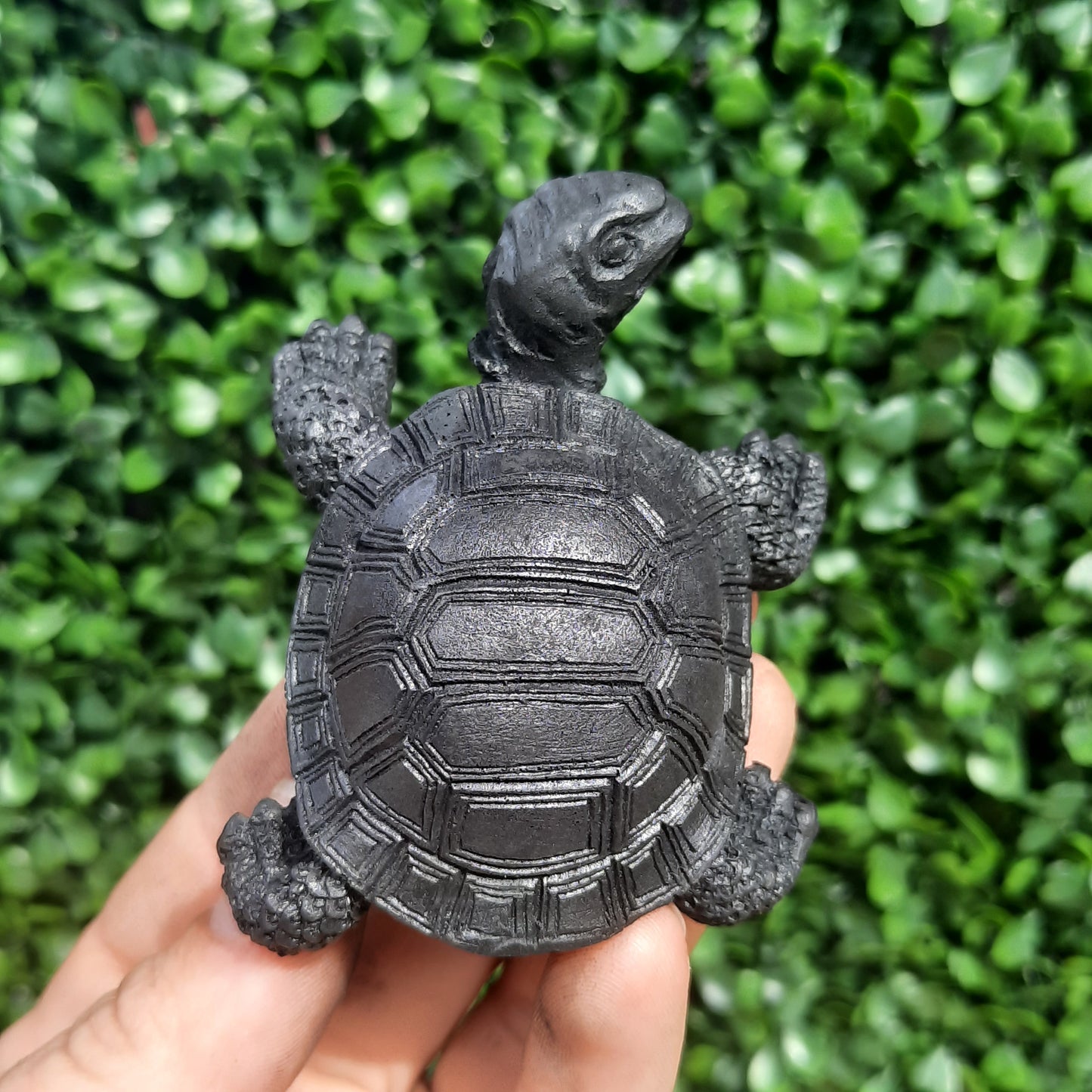 Shungite Turtle