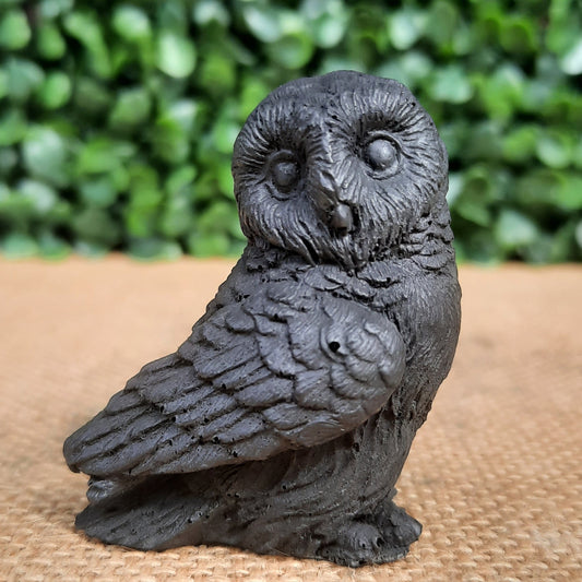 Shungite Baby Owl