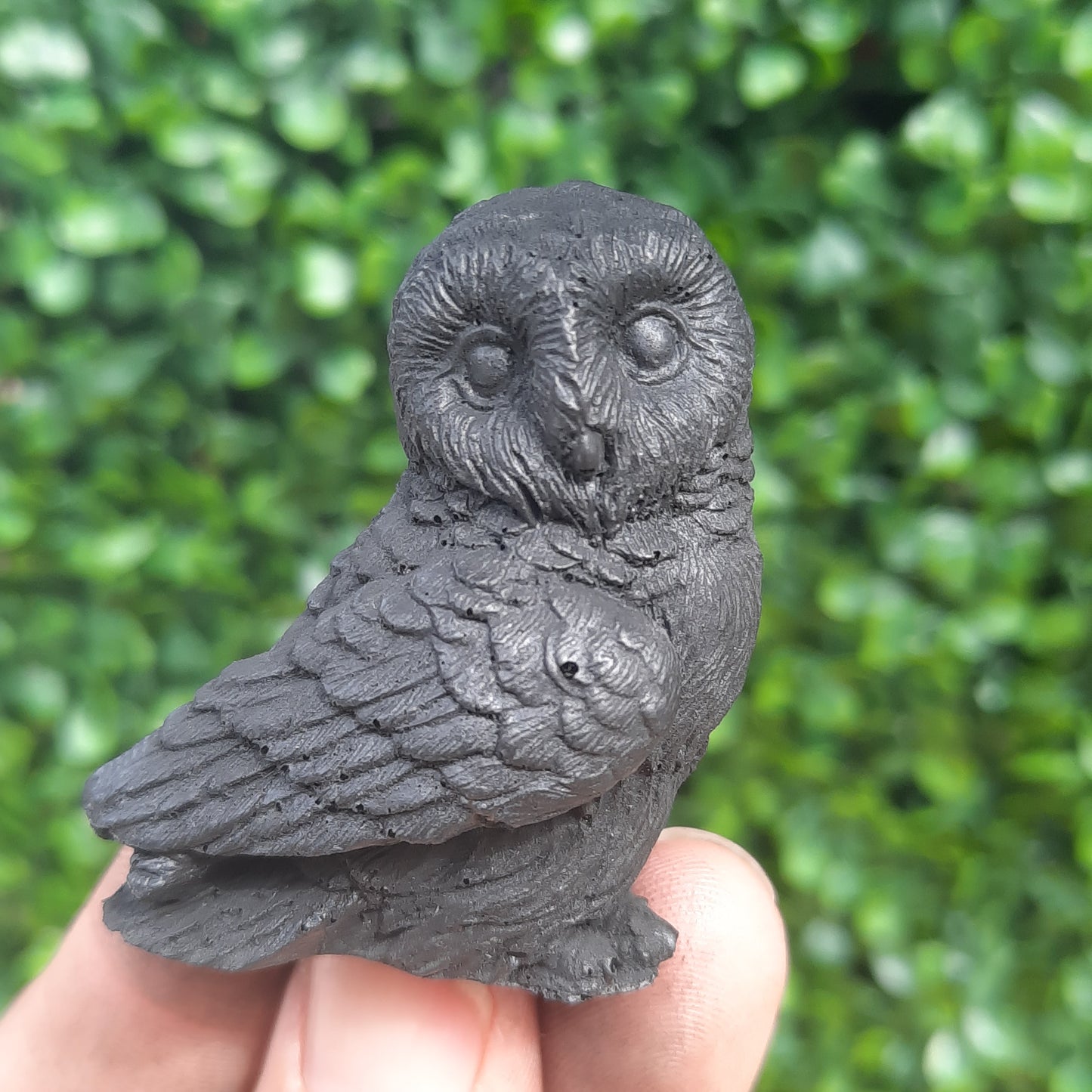 Shungite Baby Owl