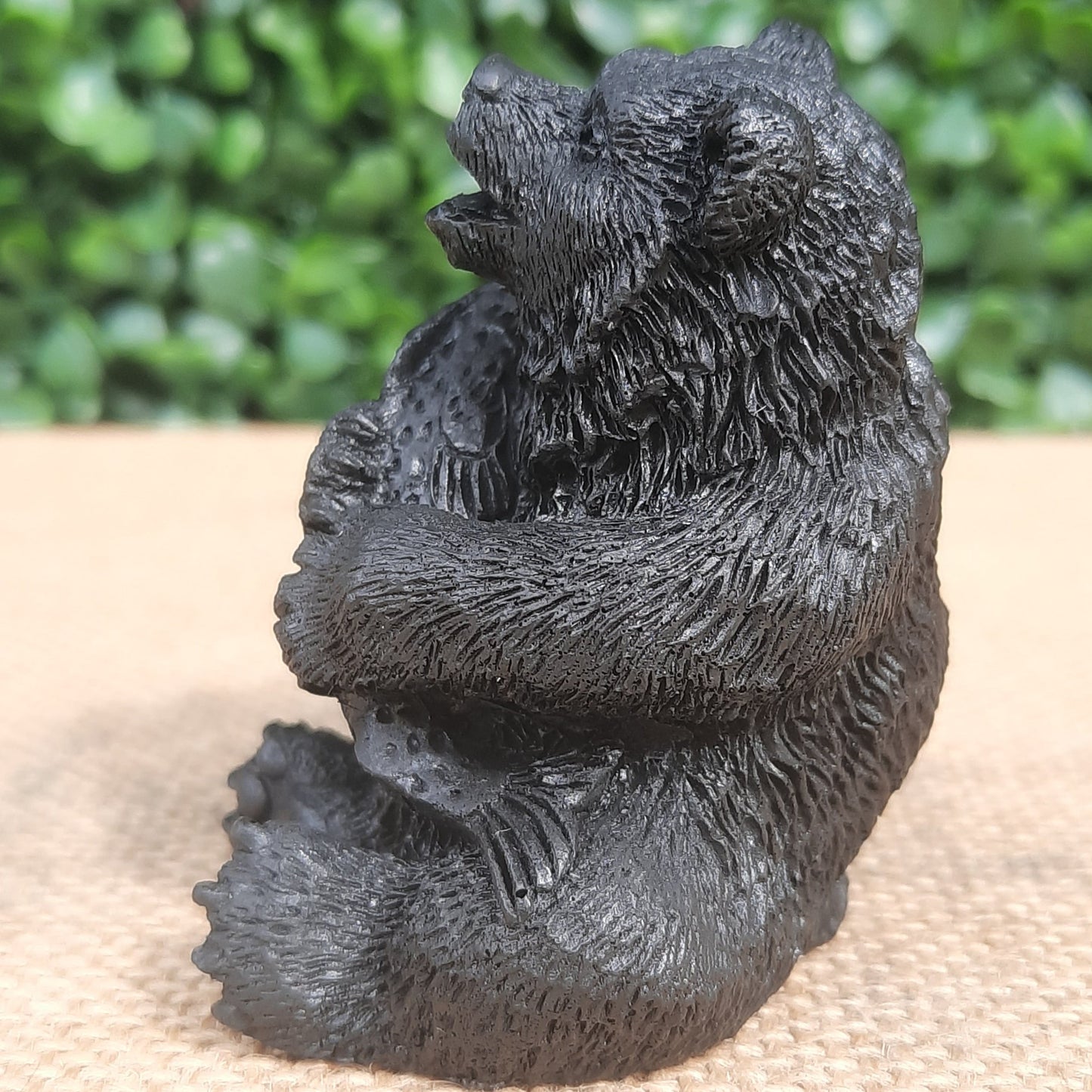 Shungite Bear With Salmon