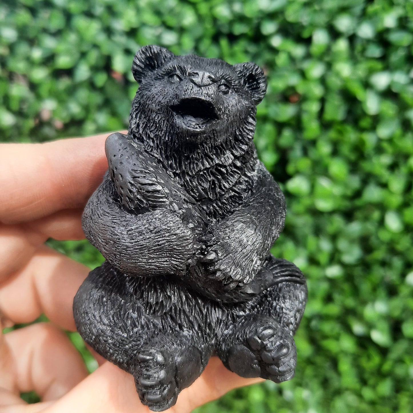 Shungite Bear With Salmon