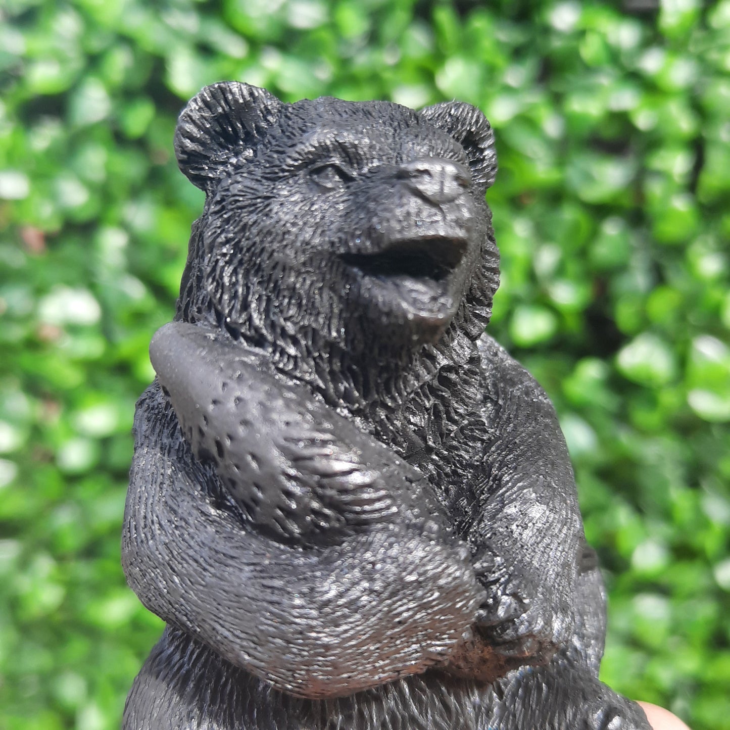 Shungite Bear With Salmon
