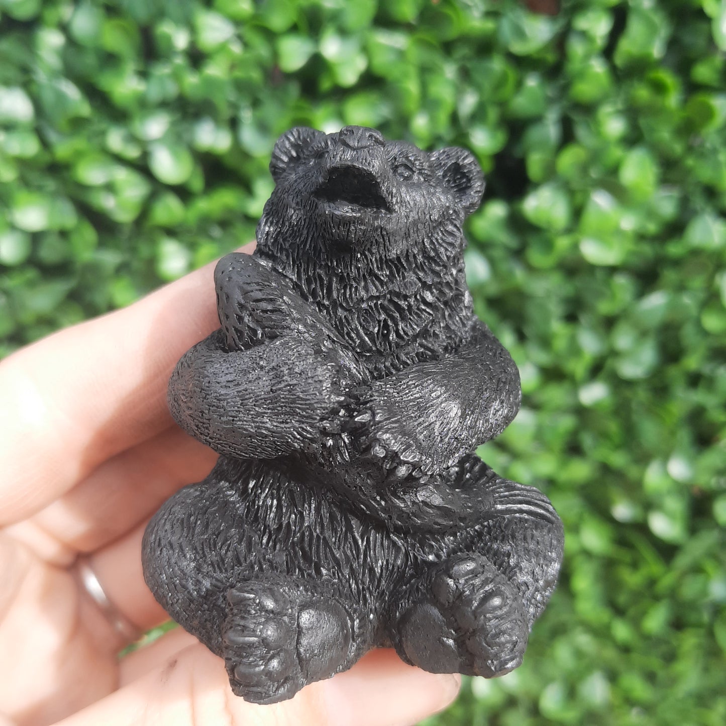 Shungite Bear With Salmon