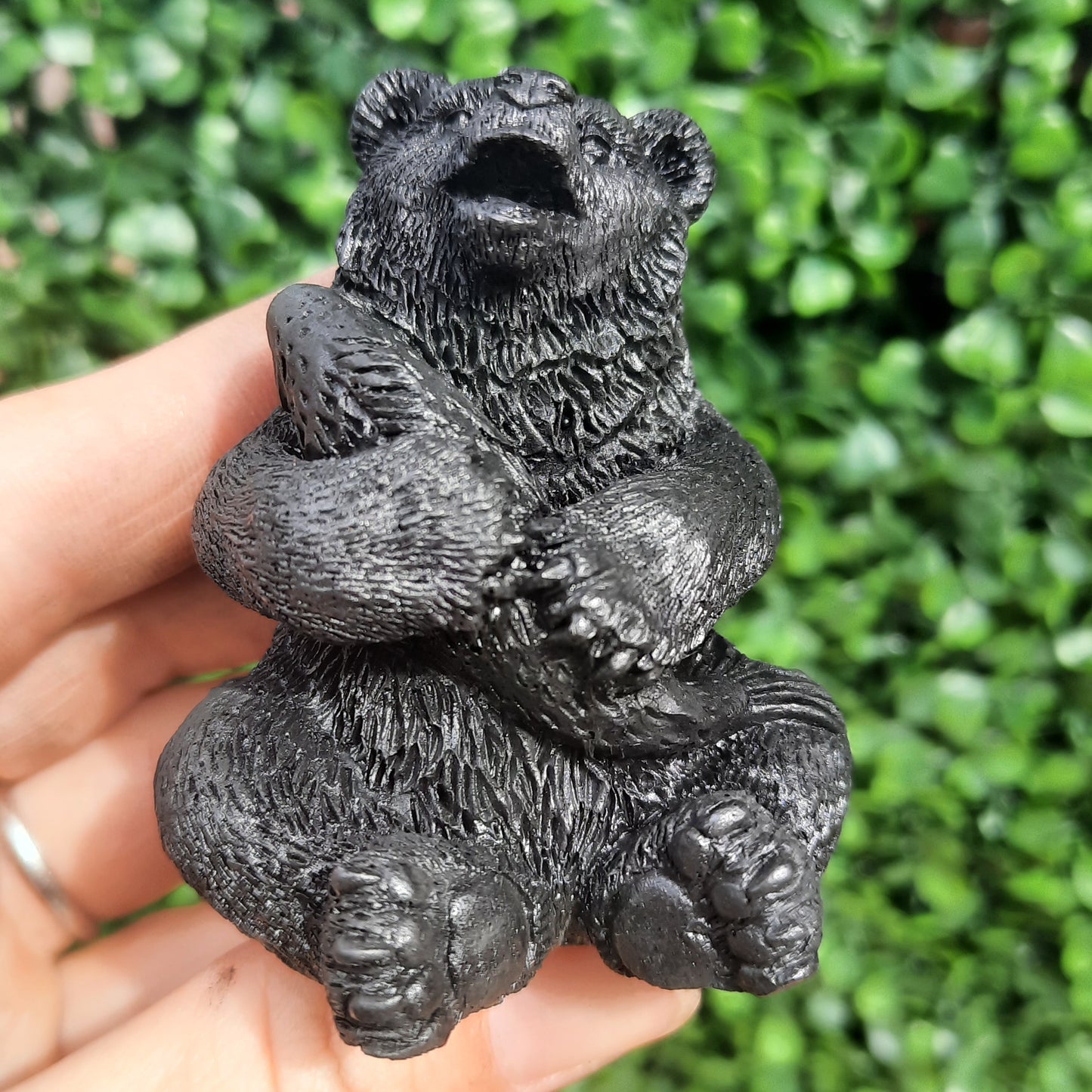 Shungite Bear With Salmon