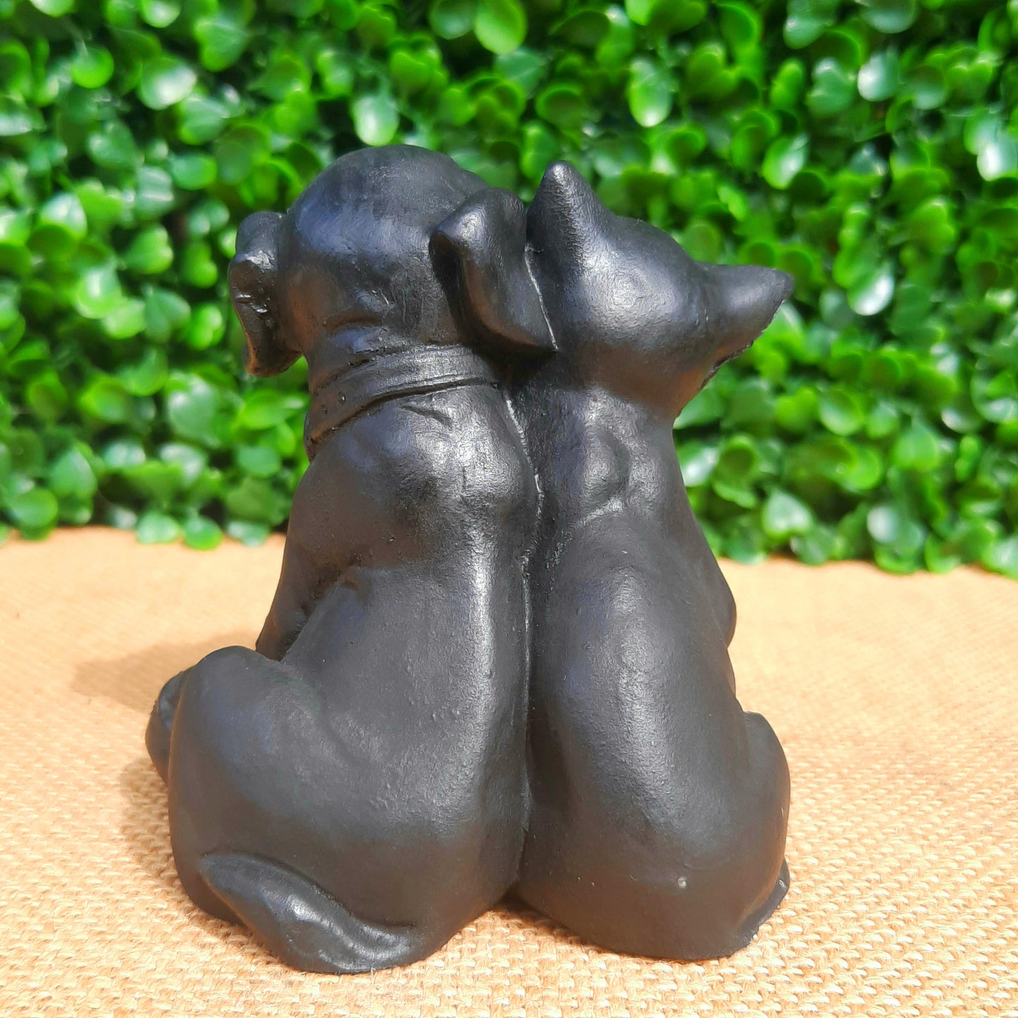 Shungite Puppy & Kitten
