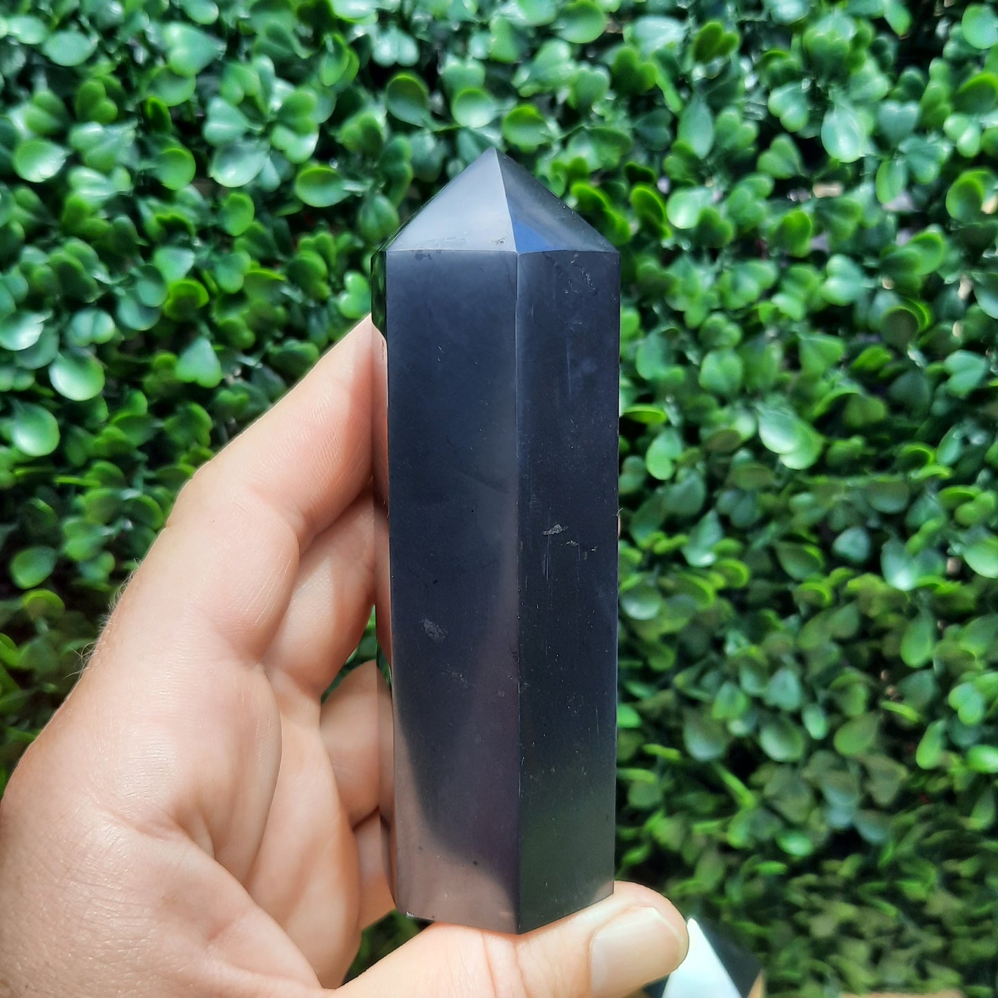 Shungite Point’s