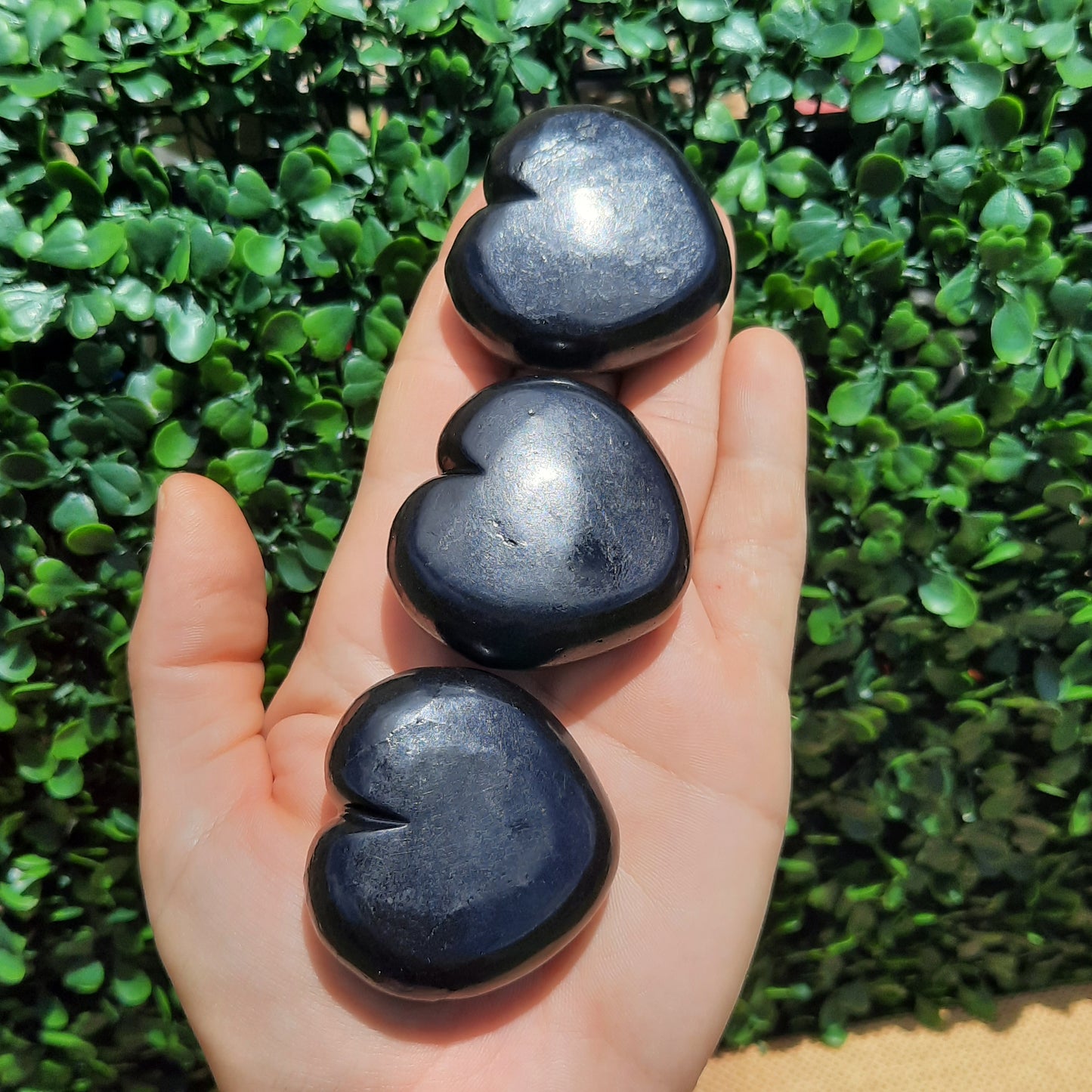 Shungite Heart's