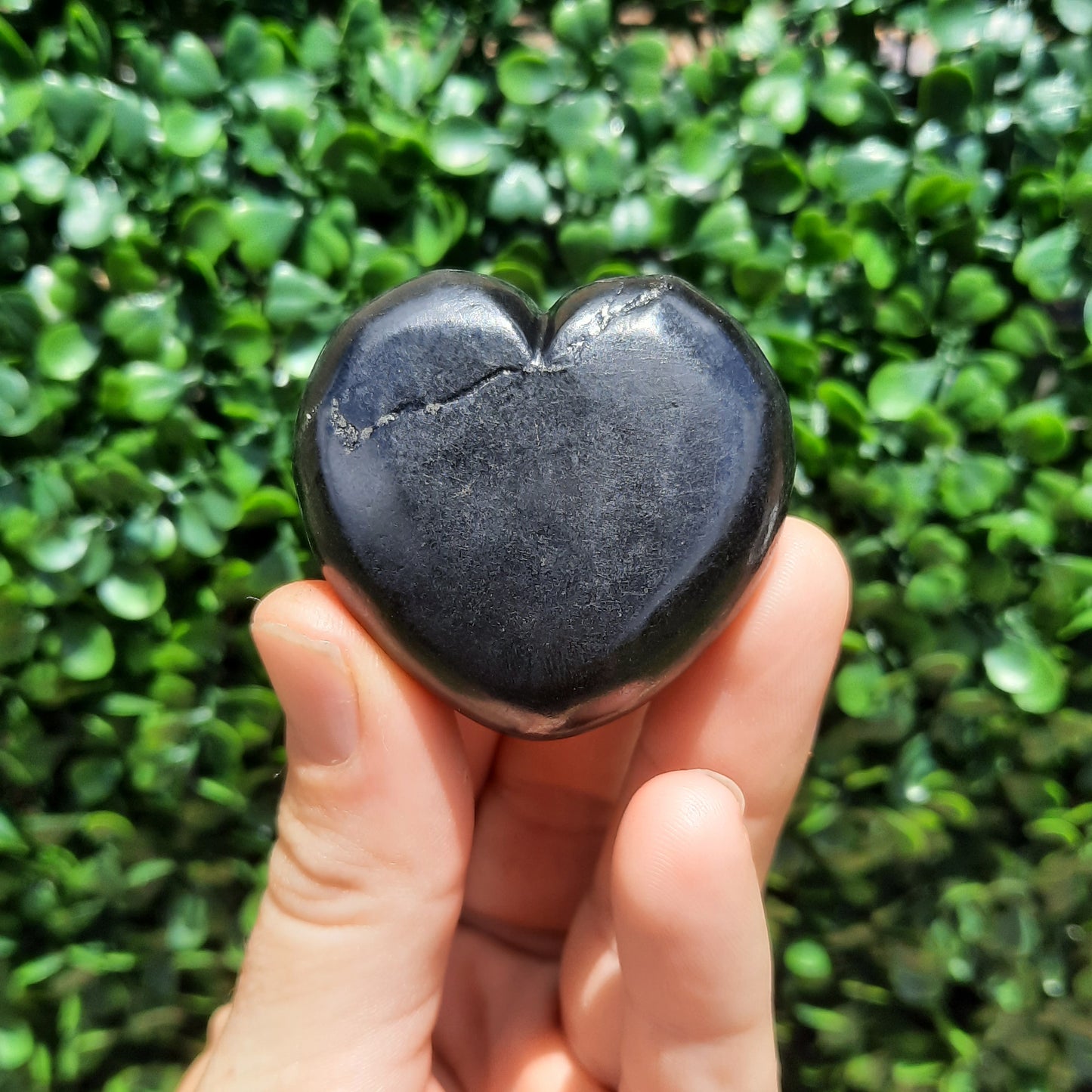 Shungite Heart's