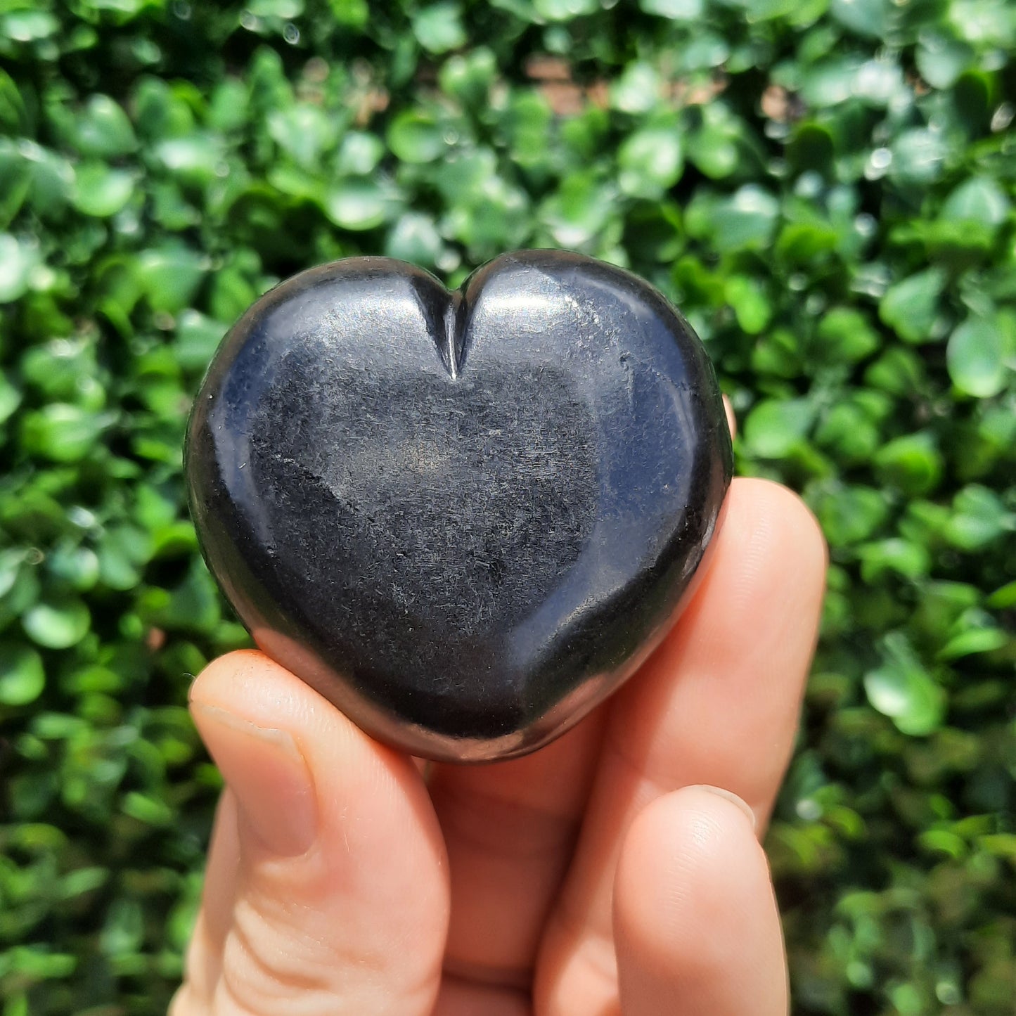 Shungite Heart's