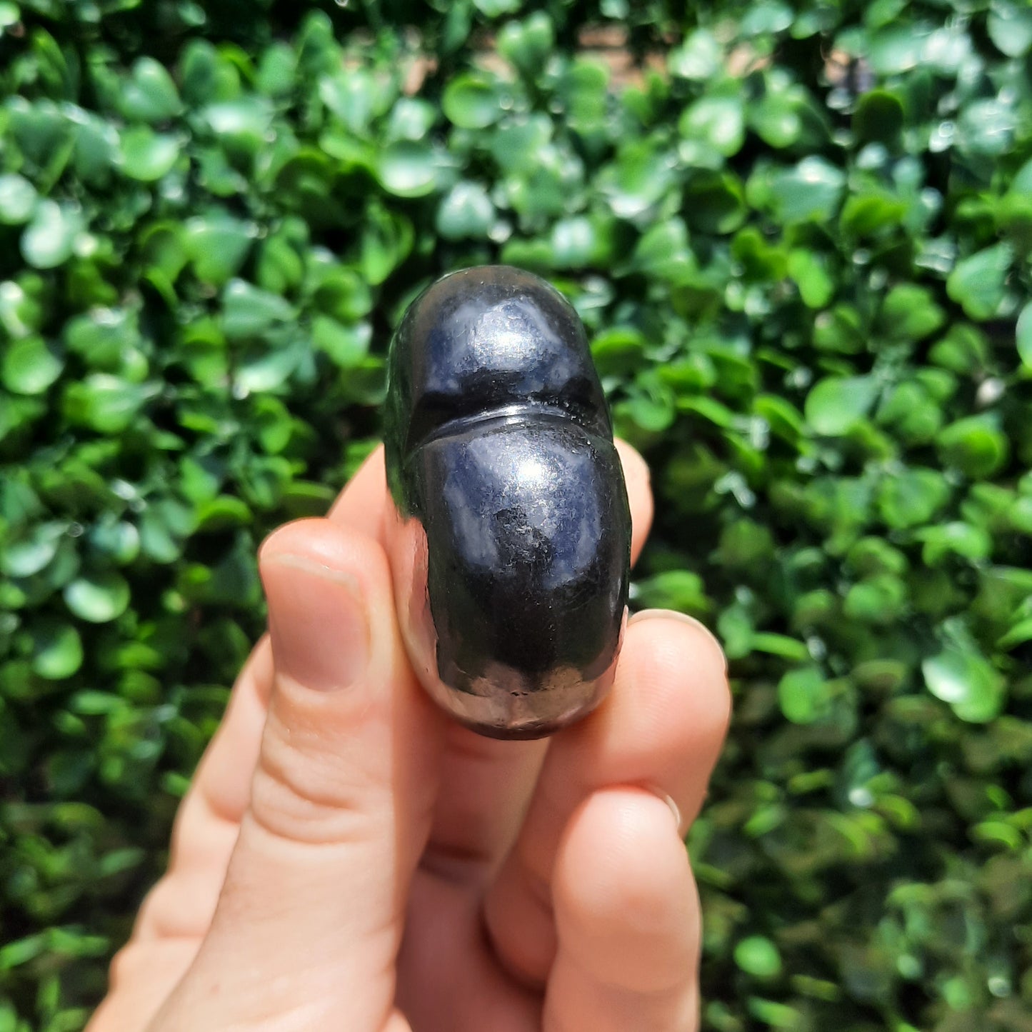 Shungite Heart's