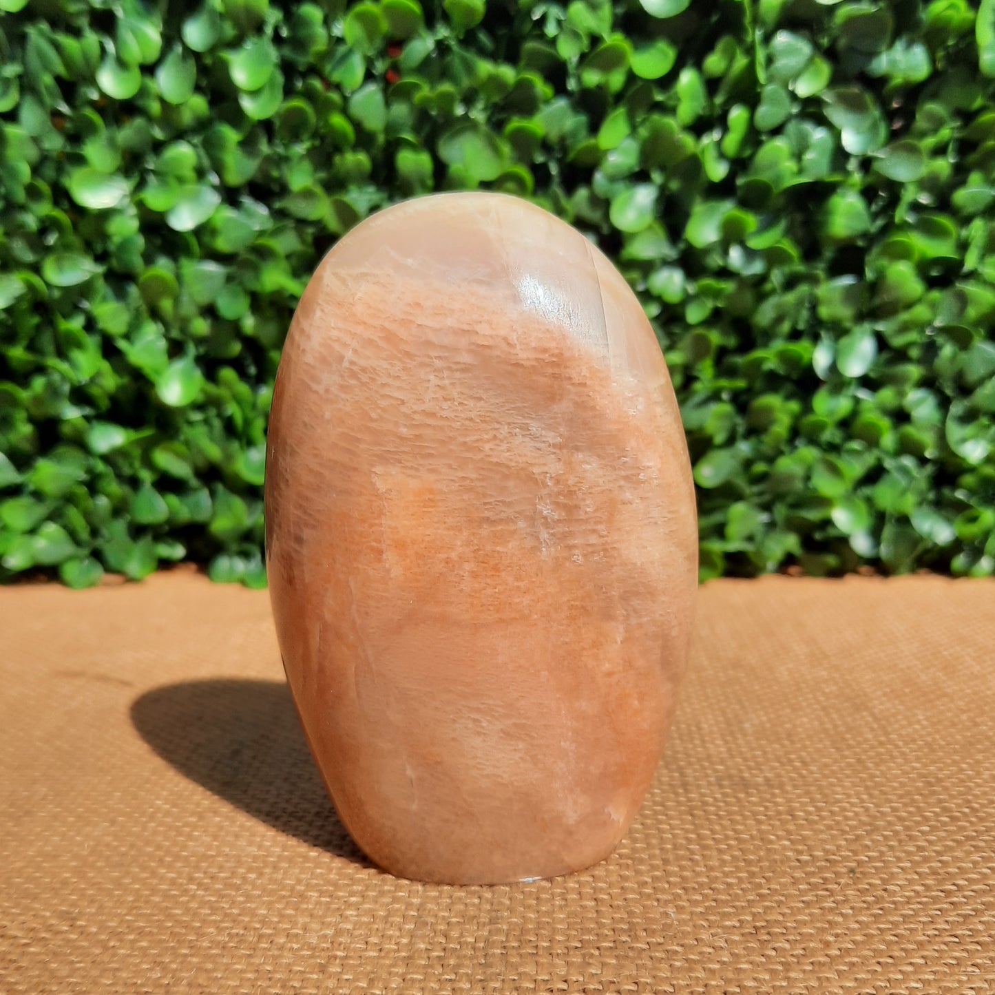 Peach Moonstone Free Form