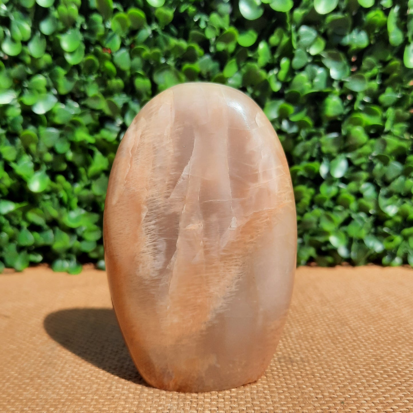 Peach Moonstone Free Form