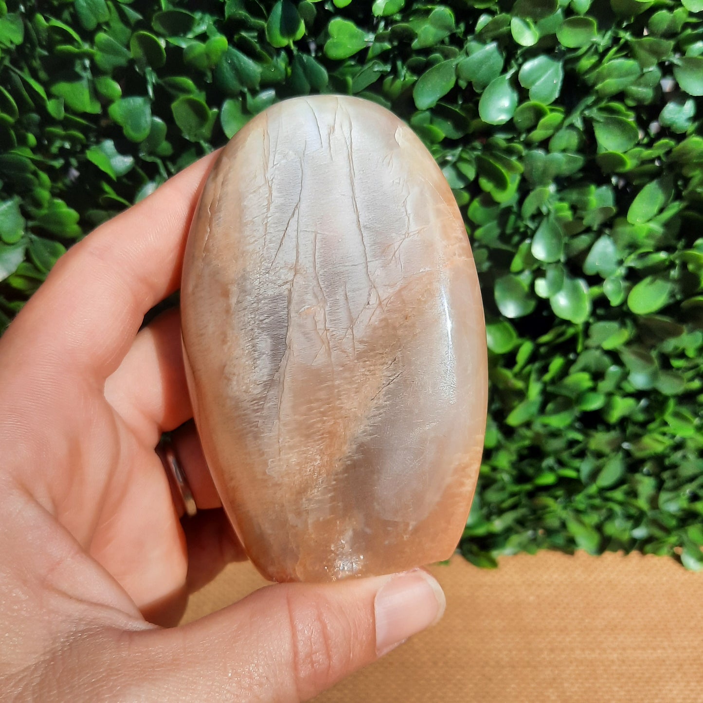 Peach Moonstone Free Form