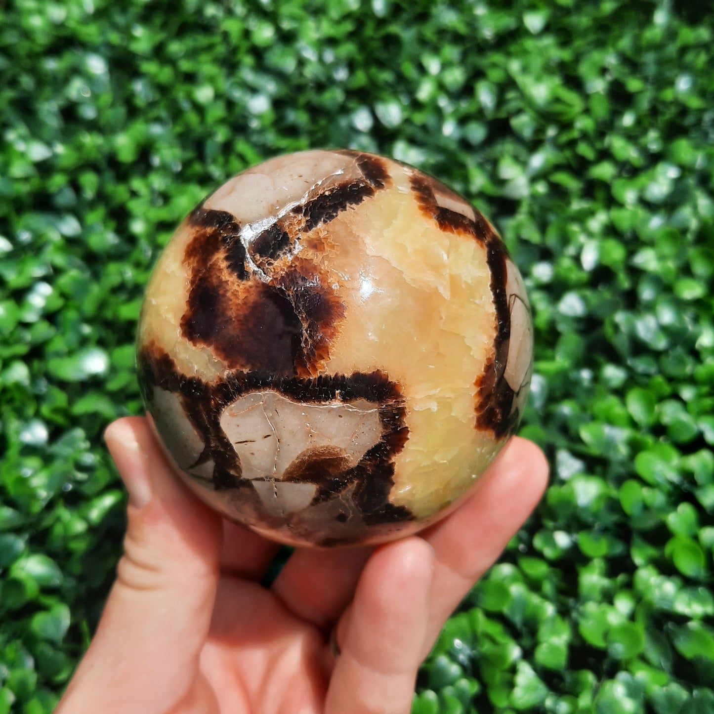 Septarian Yellow Calcite Sphere