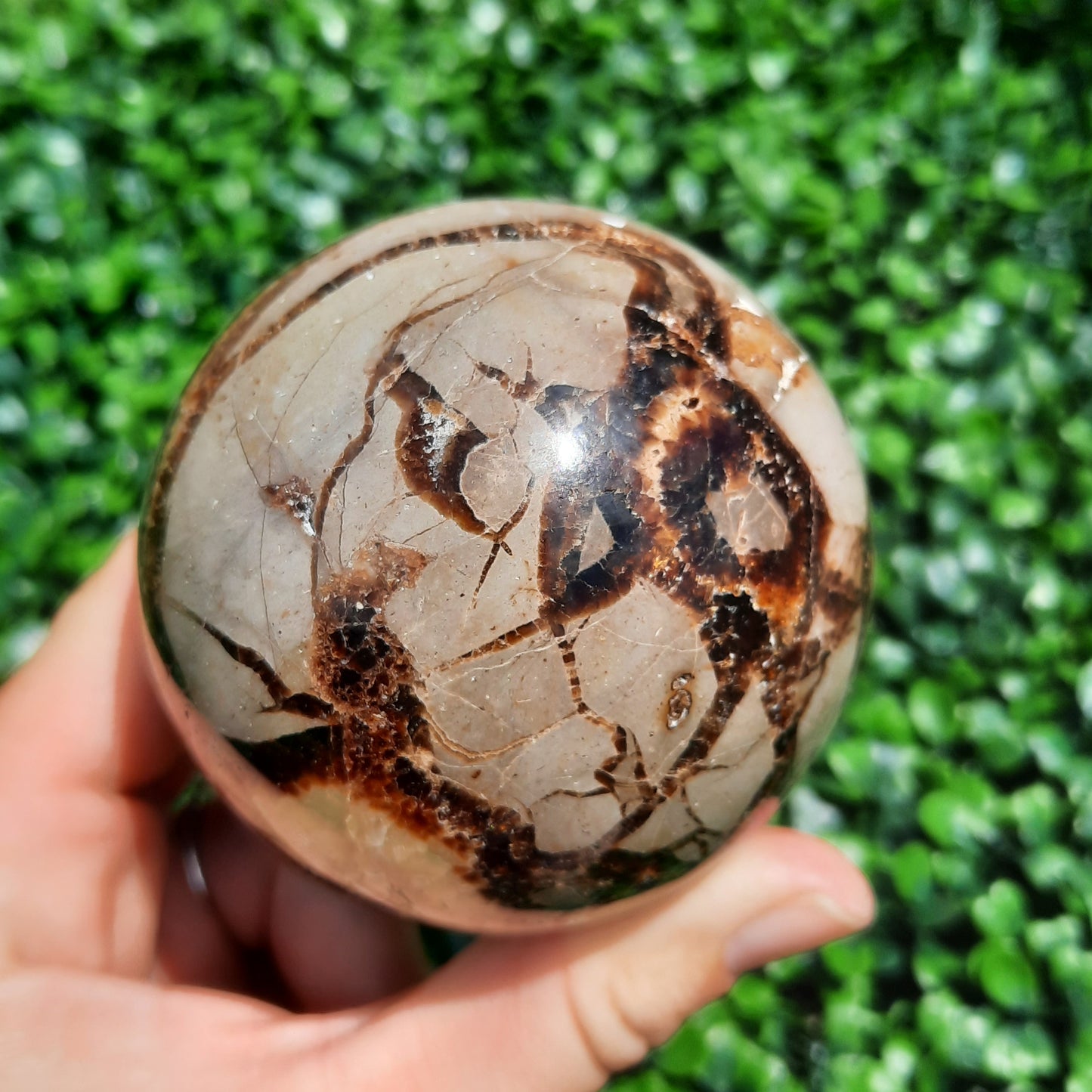 Septarian Yellow Calcite Sphere