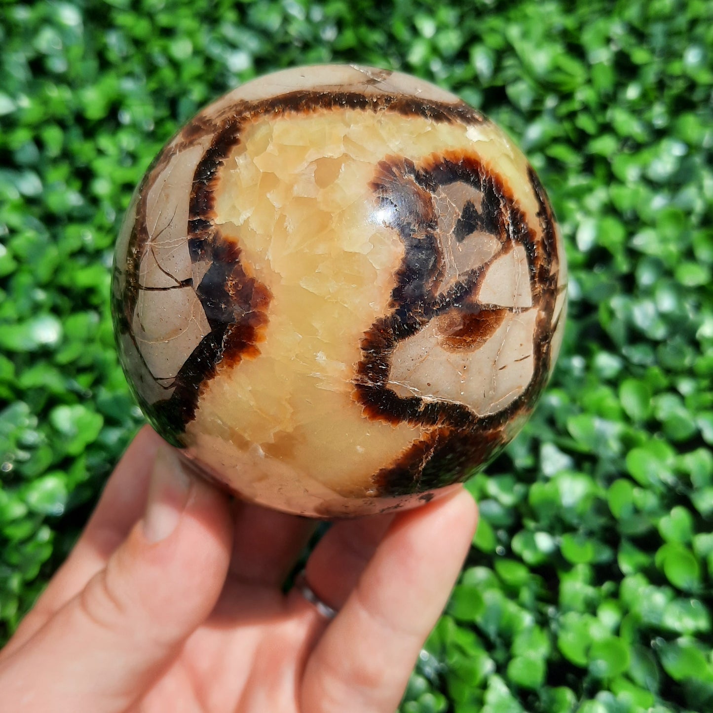 Septarian Yellow Calcite Sphere