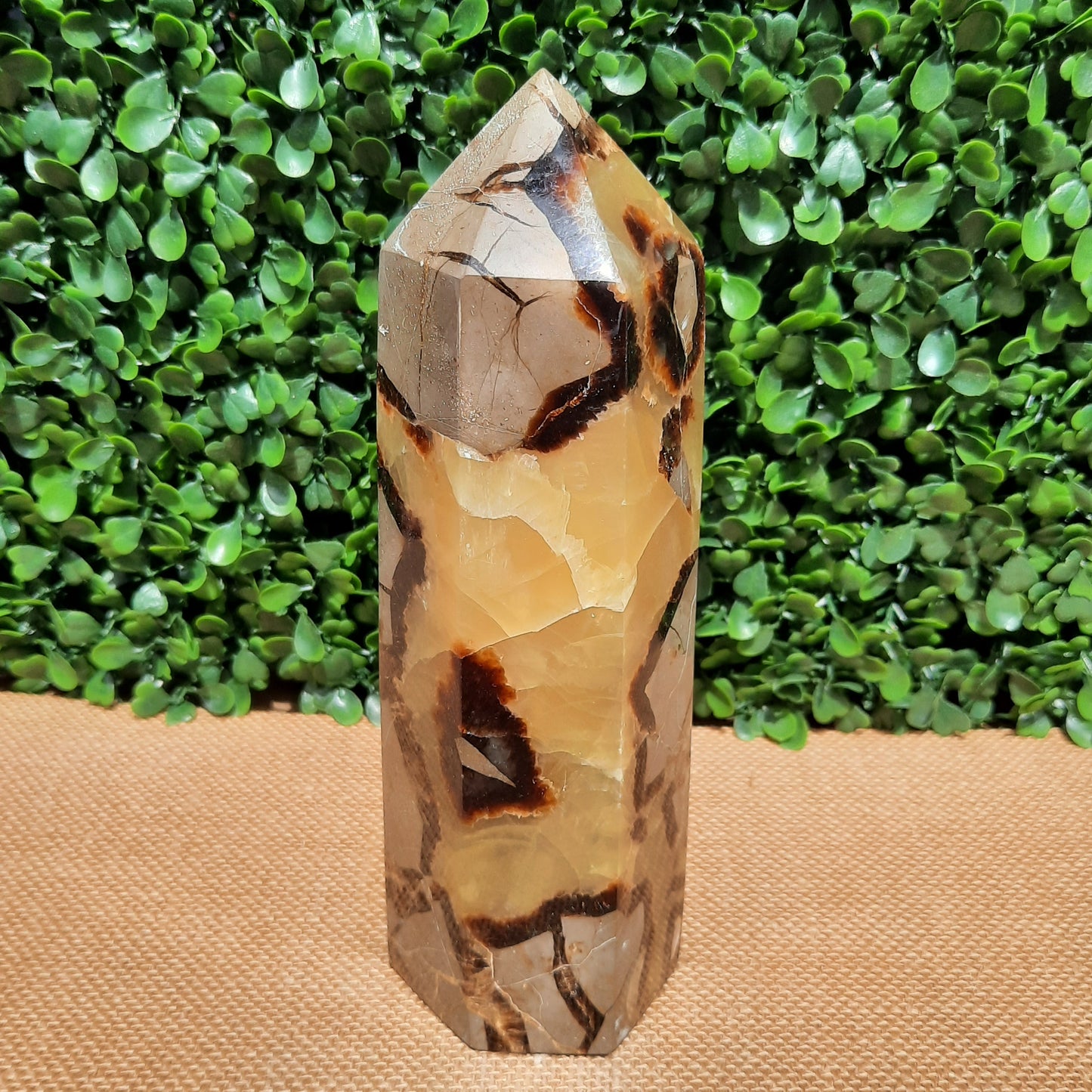 Septarian Generator