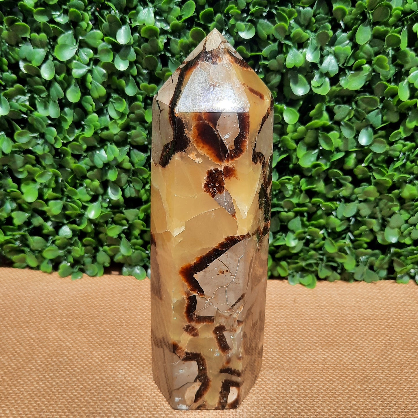Septarian Generator