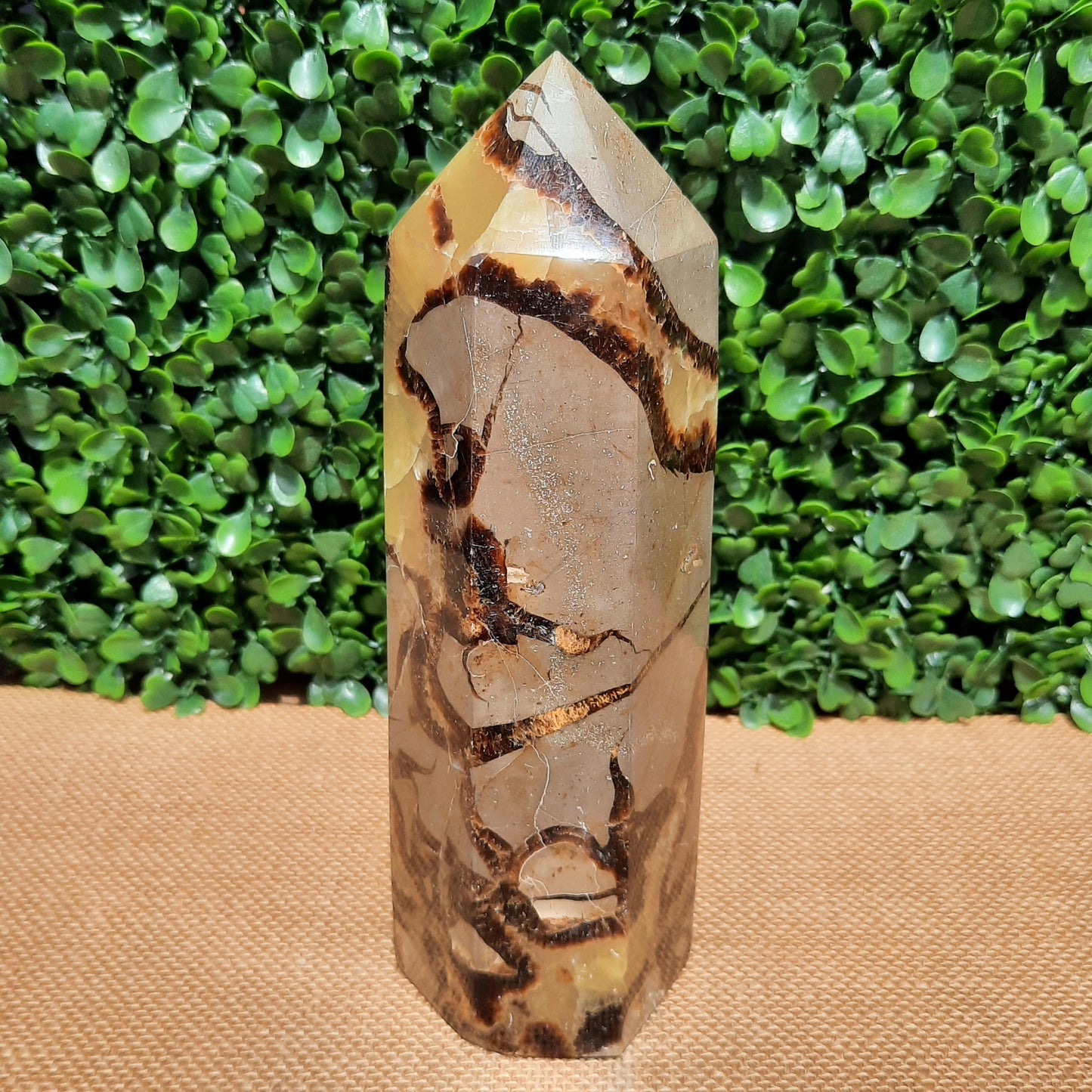 Septarian Generator